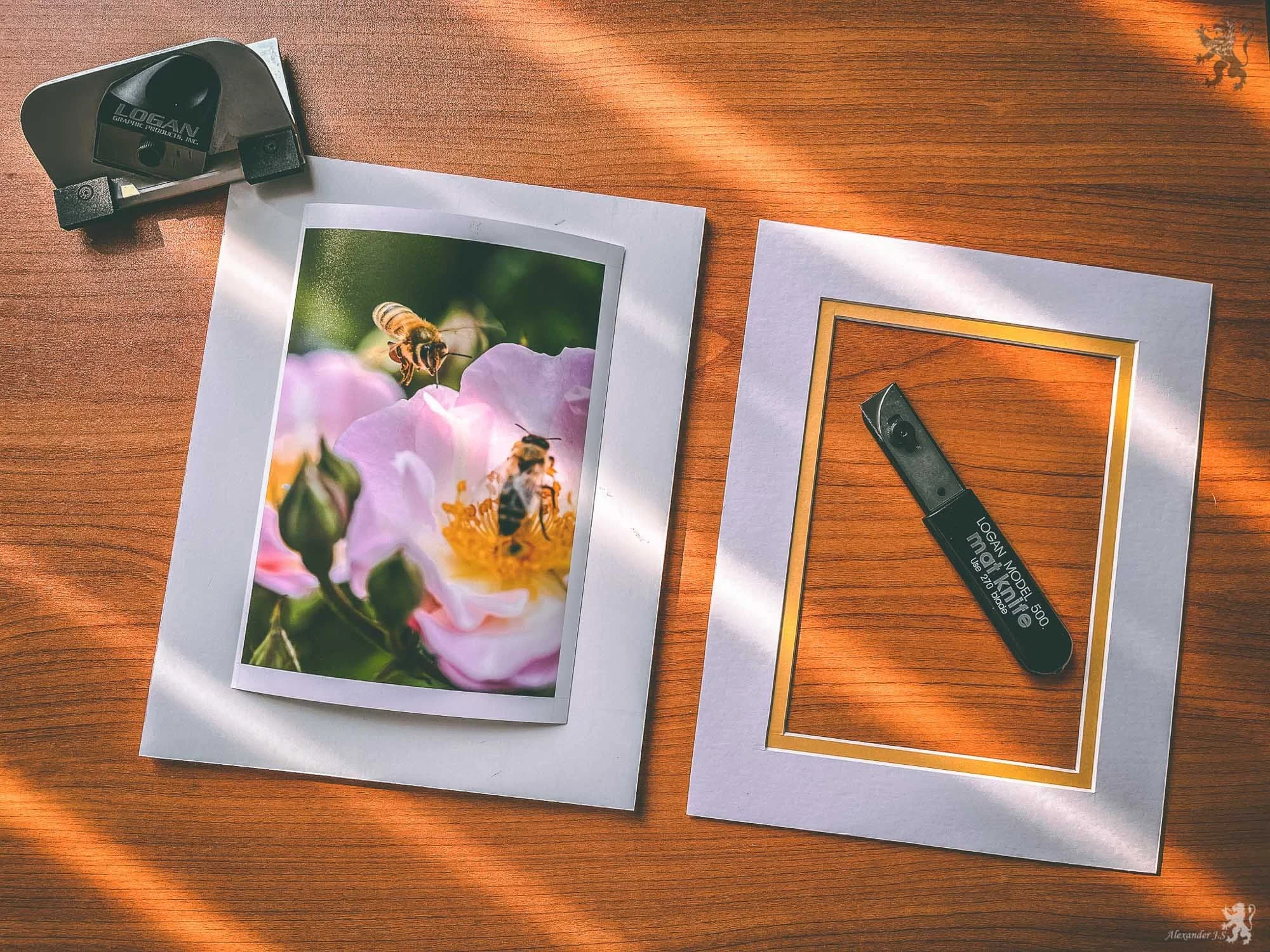 Photography Workshops & Studio Experiences | Alexander Julian ...