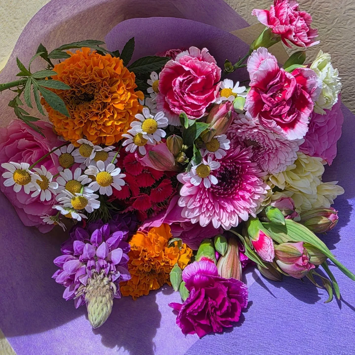 This festive season, there&rsquo;s something extra special about supporting the small, hardworking businesses in our local community. ✨️💐 

A huge thank you to my beautiful friend @sweet_caroline_floral @carolynlaukart for not only filling her gorge