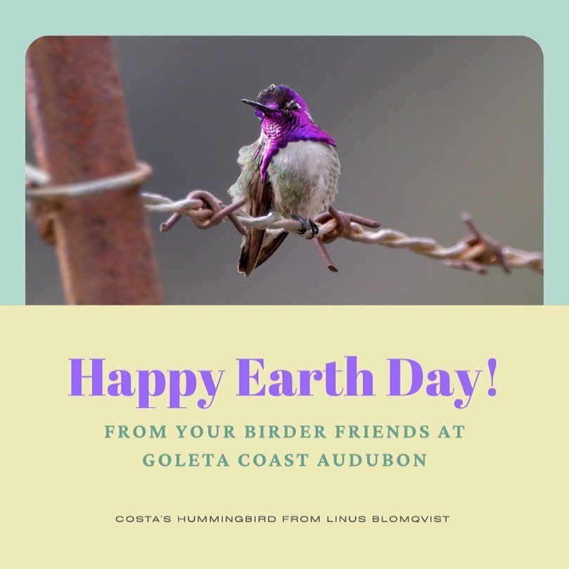 🌱 Happy Earth Day from the Goleta Coast Audubon Society!

☁️ Spend some time today to pay attention to birds. Whether they&rsquo;re the birds singing next to your desk window or the ones poking in the sand at the beach&mdash;listen closely, pay atte