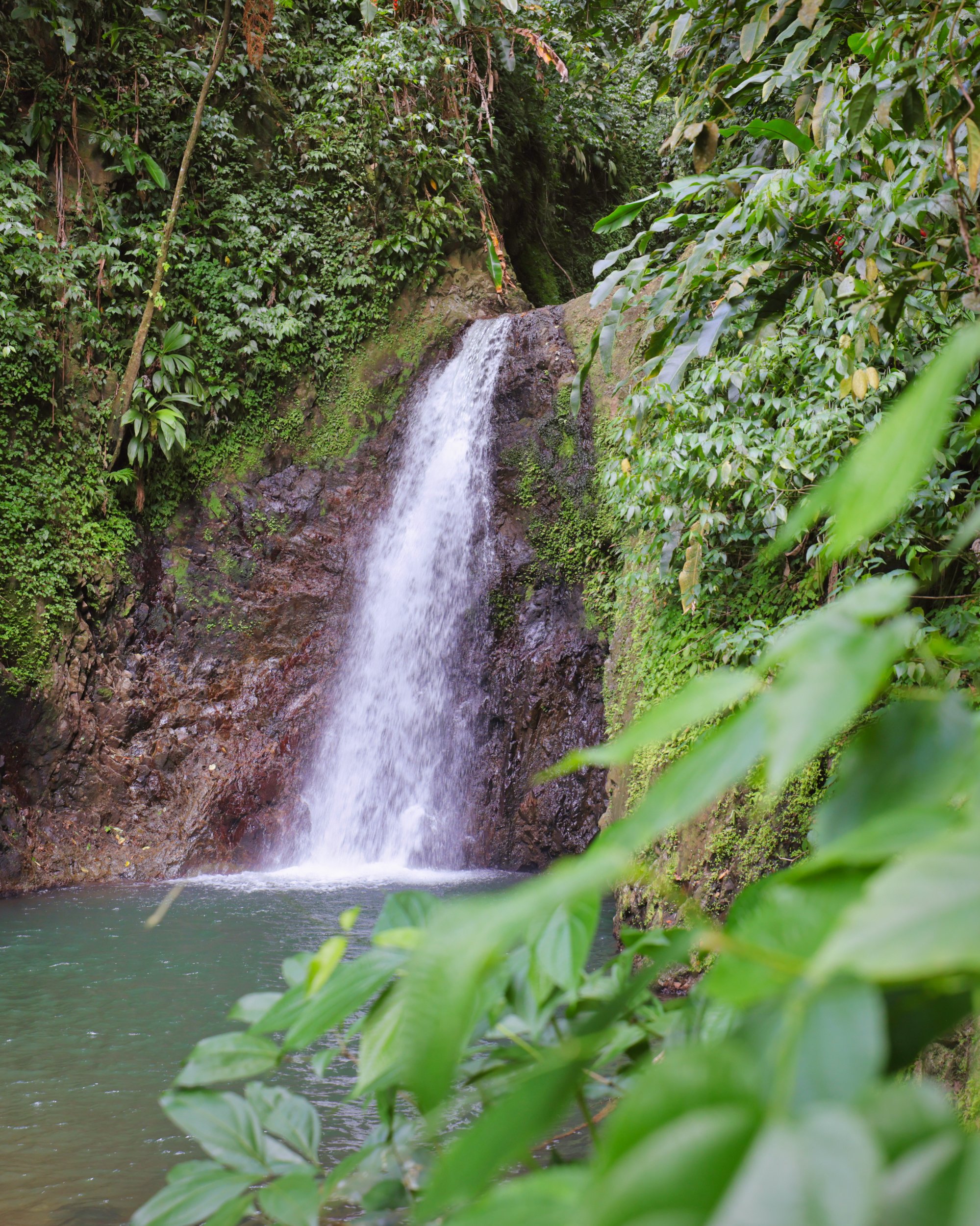 TJIG03_Grenada_TravelingJules_TJP_7832_5x4.jpeg