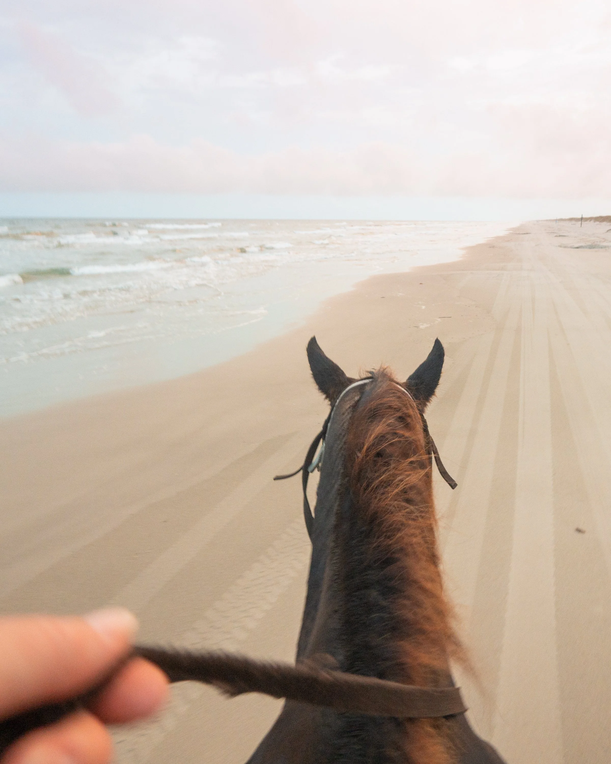 Corpus Christi_Texas_TravelingJules_IMG_7497.jpg