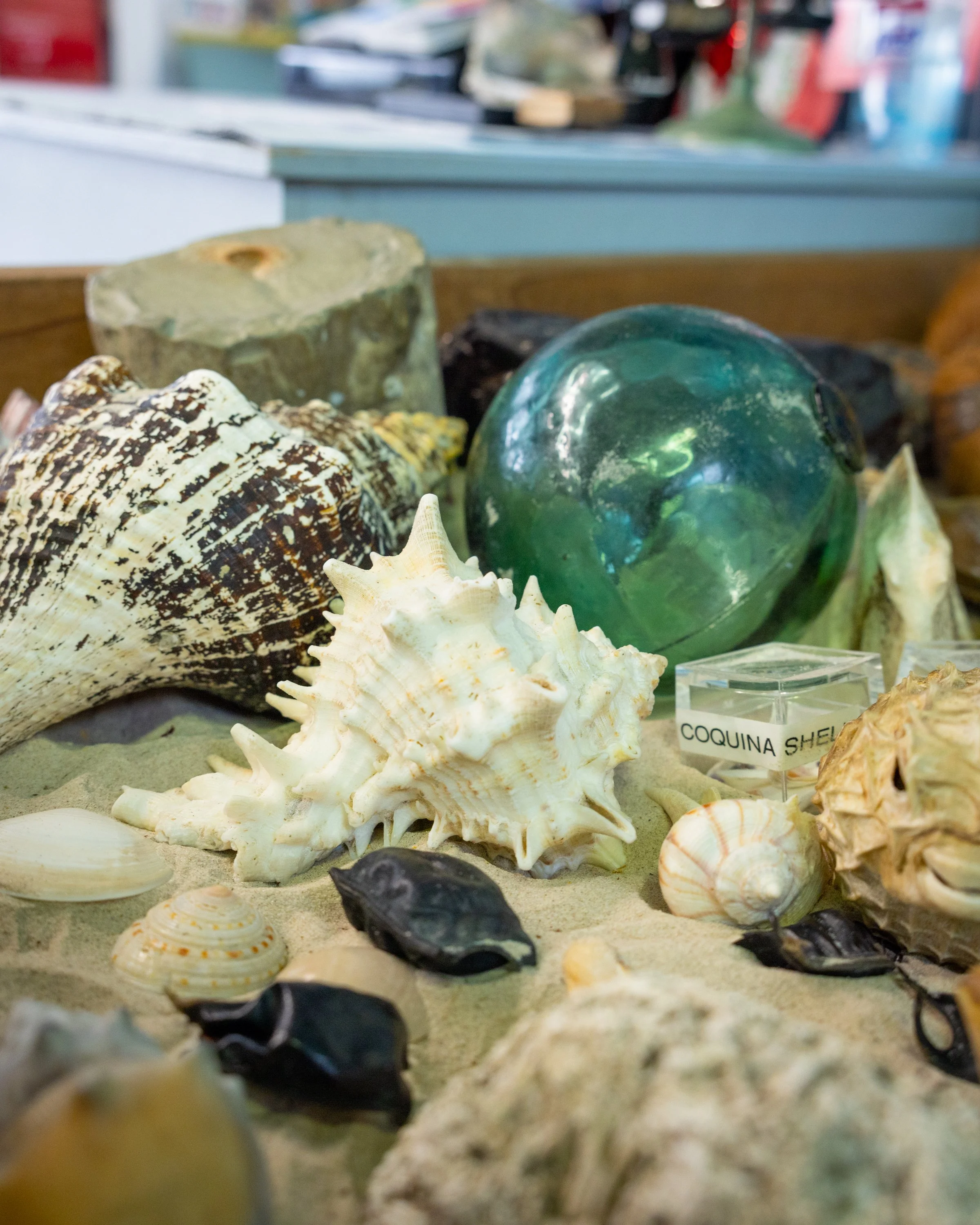 Corpus Christi_Texas_TravelingJules_TJPB6344.jpg