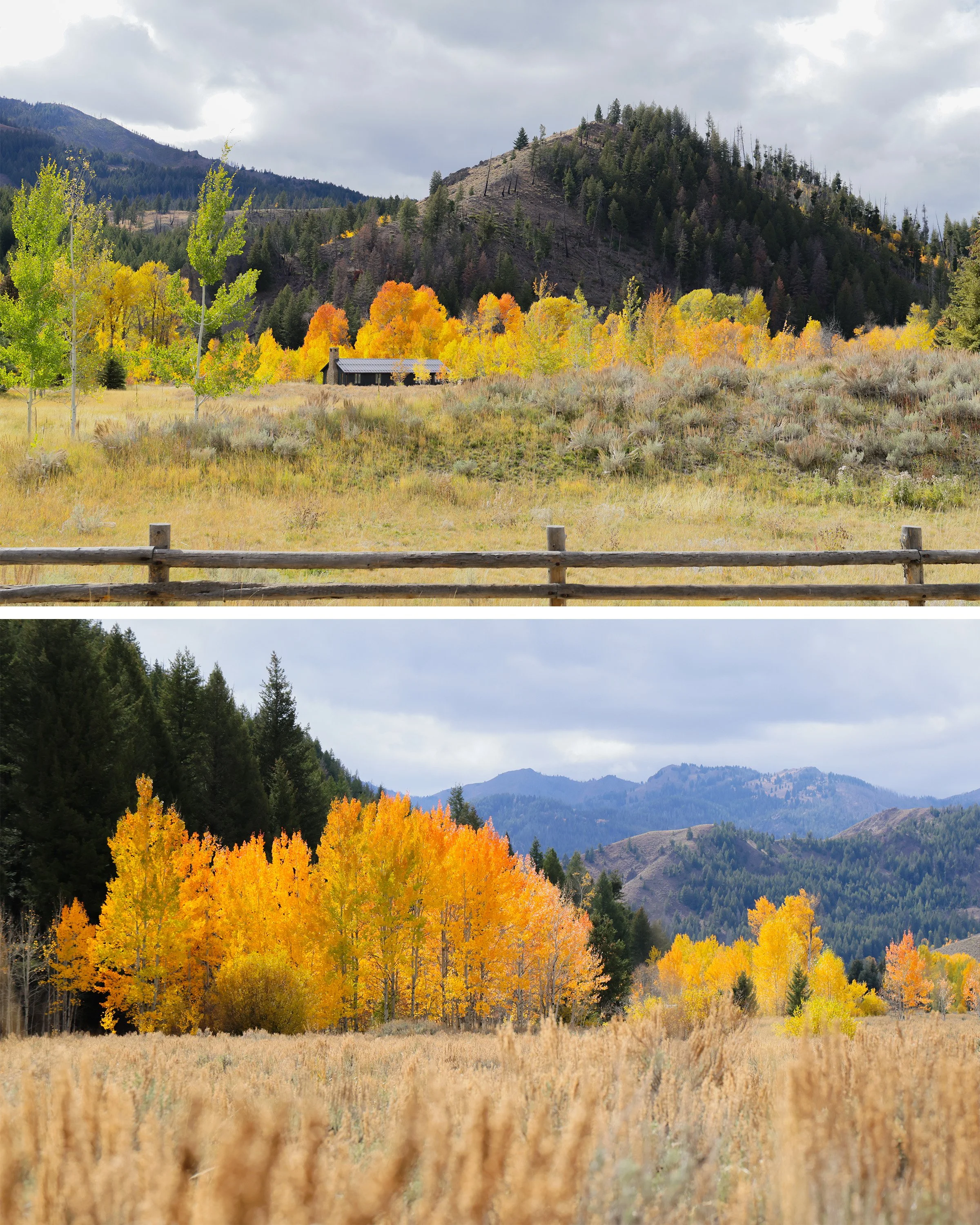 Sun Valley_Idaho_Fall Scenery_TravelingJules_4x5.jpg