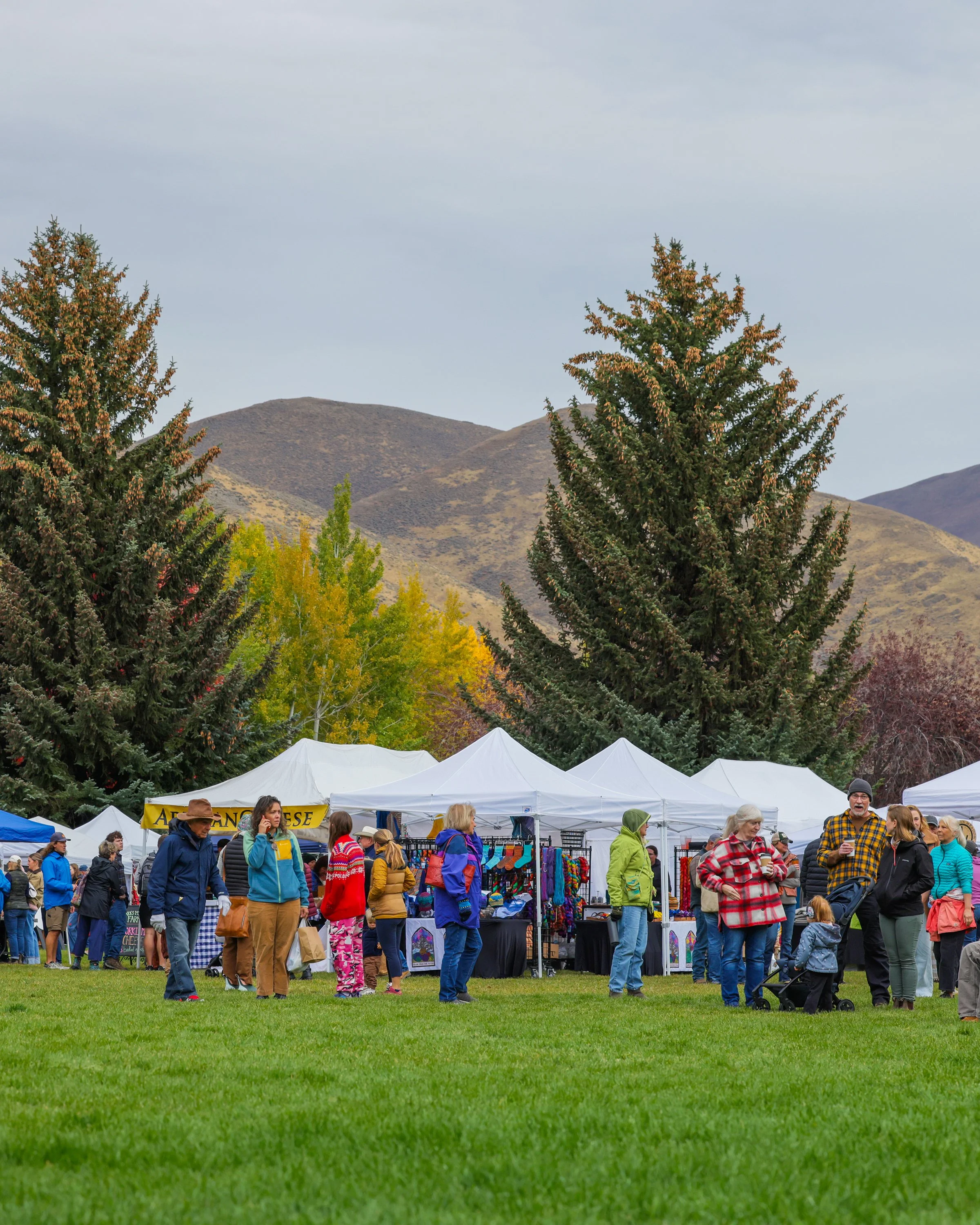 Trailing of the Sheep Festival_Sun Valley_Idaho_TravelingJules_TJPA7098_3000px.jpg