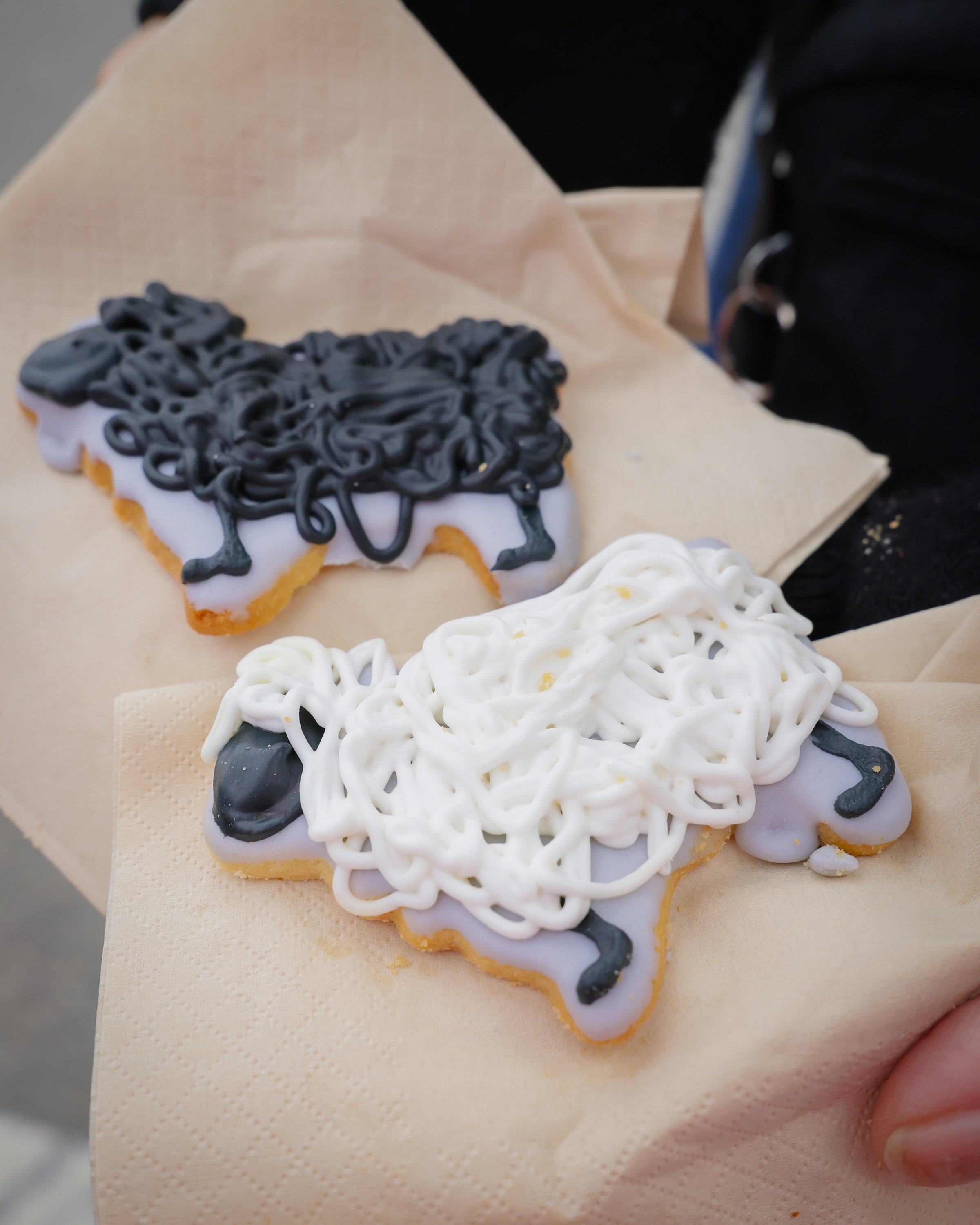 Trailing of the Sheep Festival_Sun Valley_Idaho_TravelingJules_056A2772_4x5_3000PX.jpg