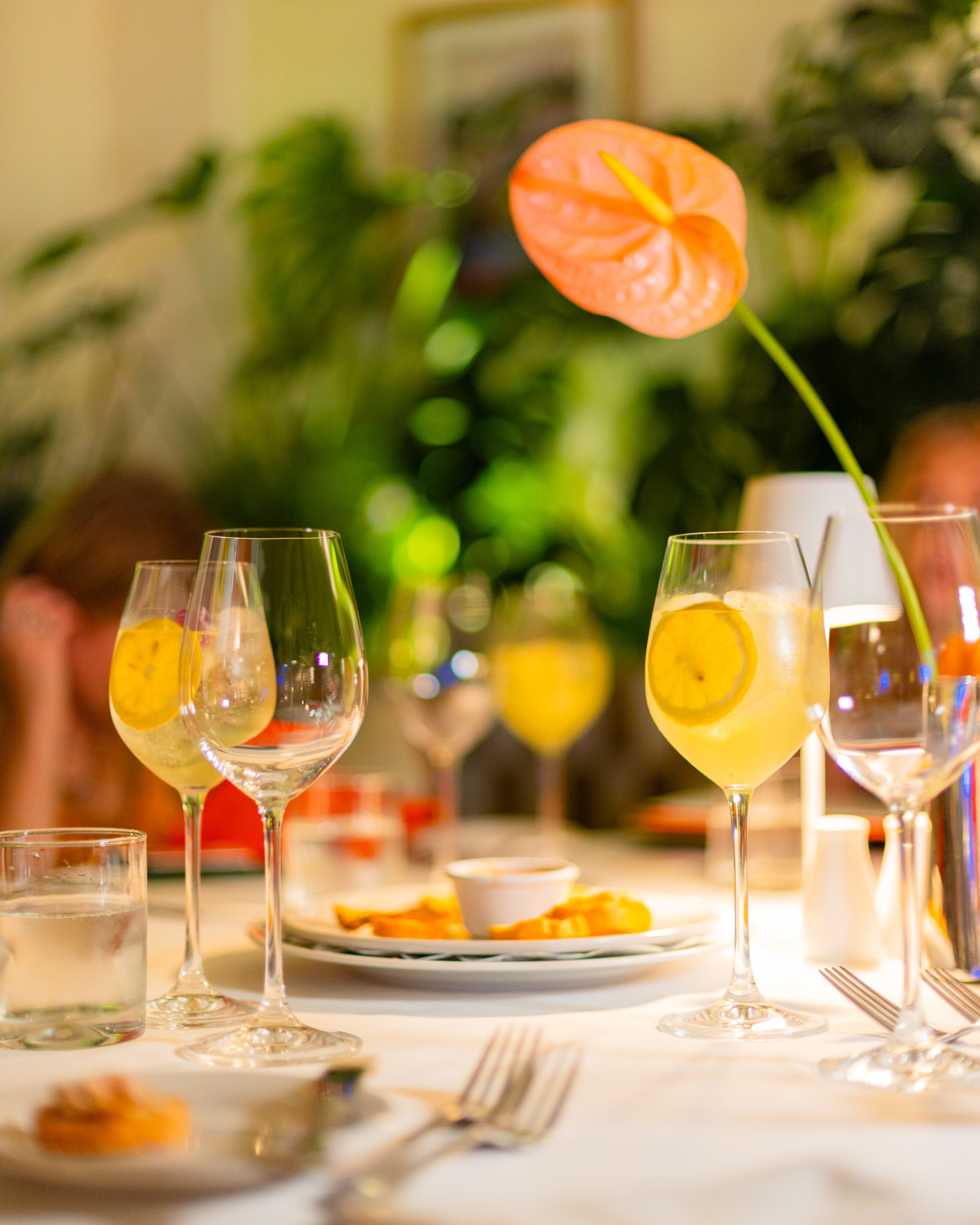 Cancun Mexico_Mexican Caribbean_TravelingJules_TJPB8285.jpg