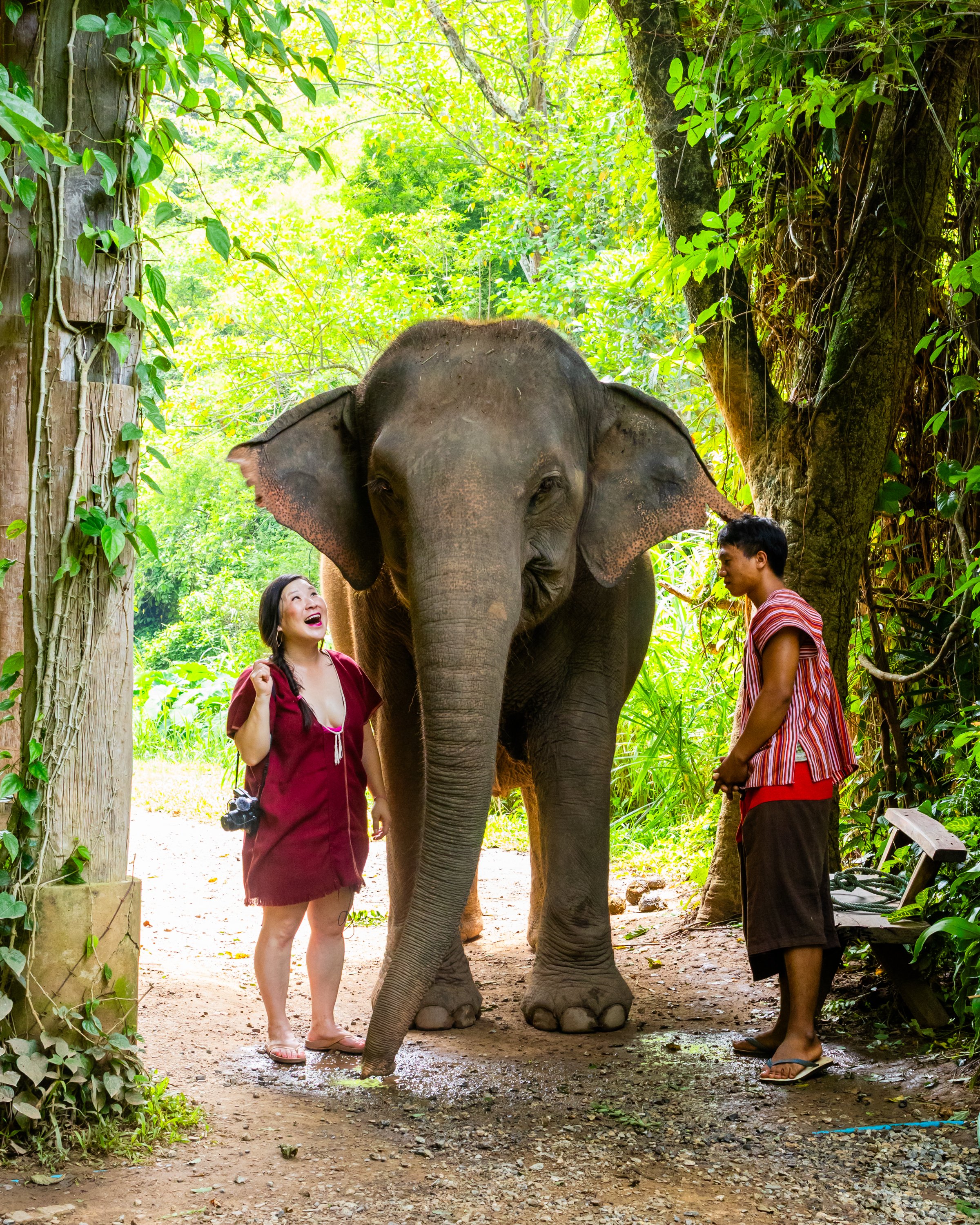 Thailand_Chiang Mai_Elephant Eco Valley_TravelingJules_IMG_4889.jpg