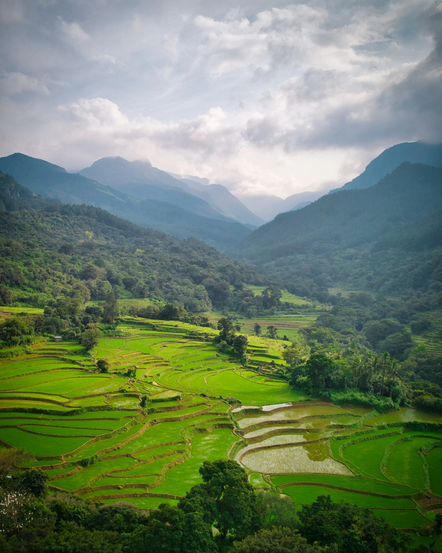 Sri Lanka — Juliana Broste | TravelingJules