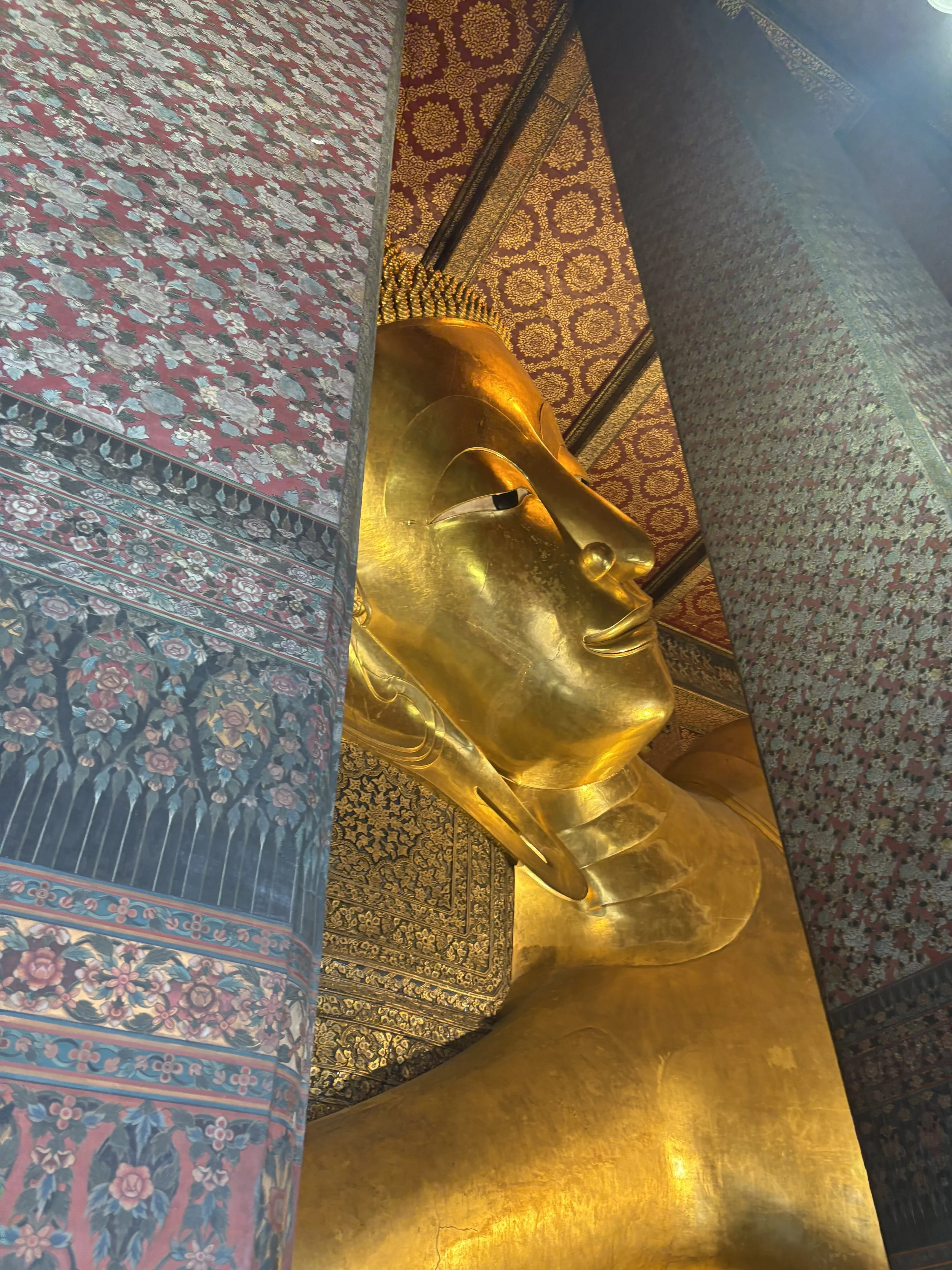 Remedies from the Roots