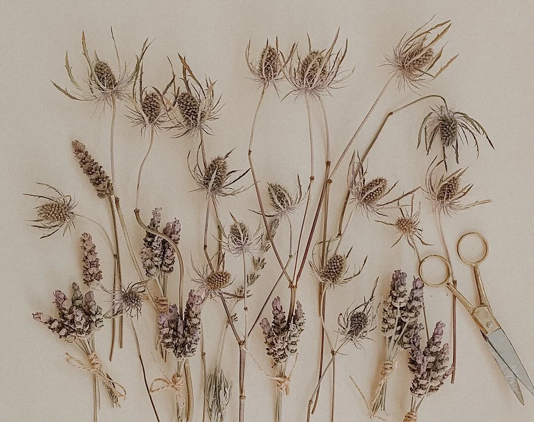 I absolutely adore having dry flowers in my home. They hold a special place in my heart, and they have become a cherished tradition between my daughter and me. Whenever we venture out, we always return with a sweet little bouquet to press or dry toge