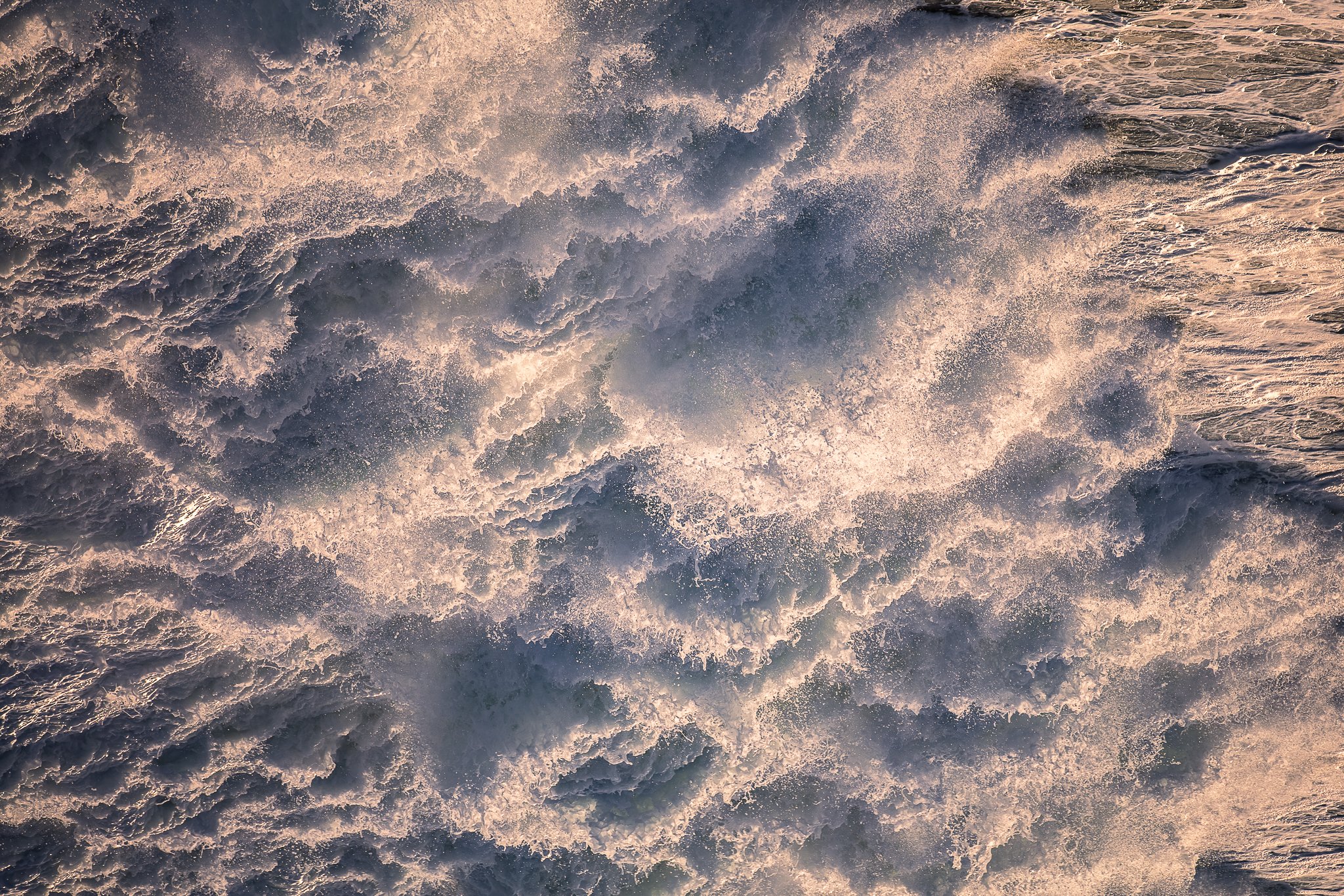 LyonsLens_24-19.jpg