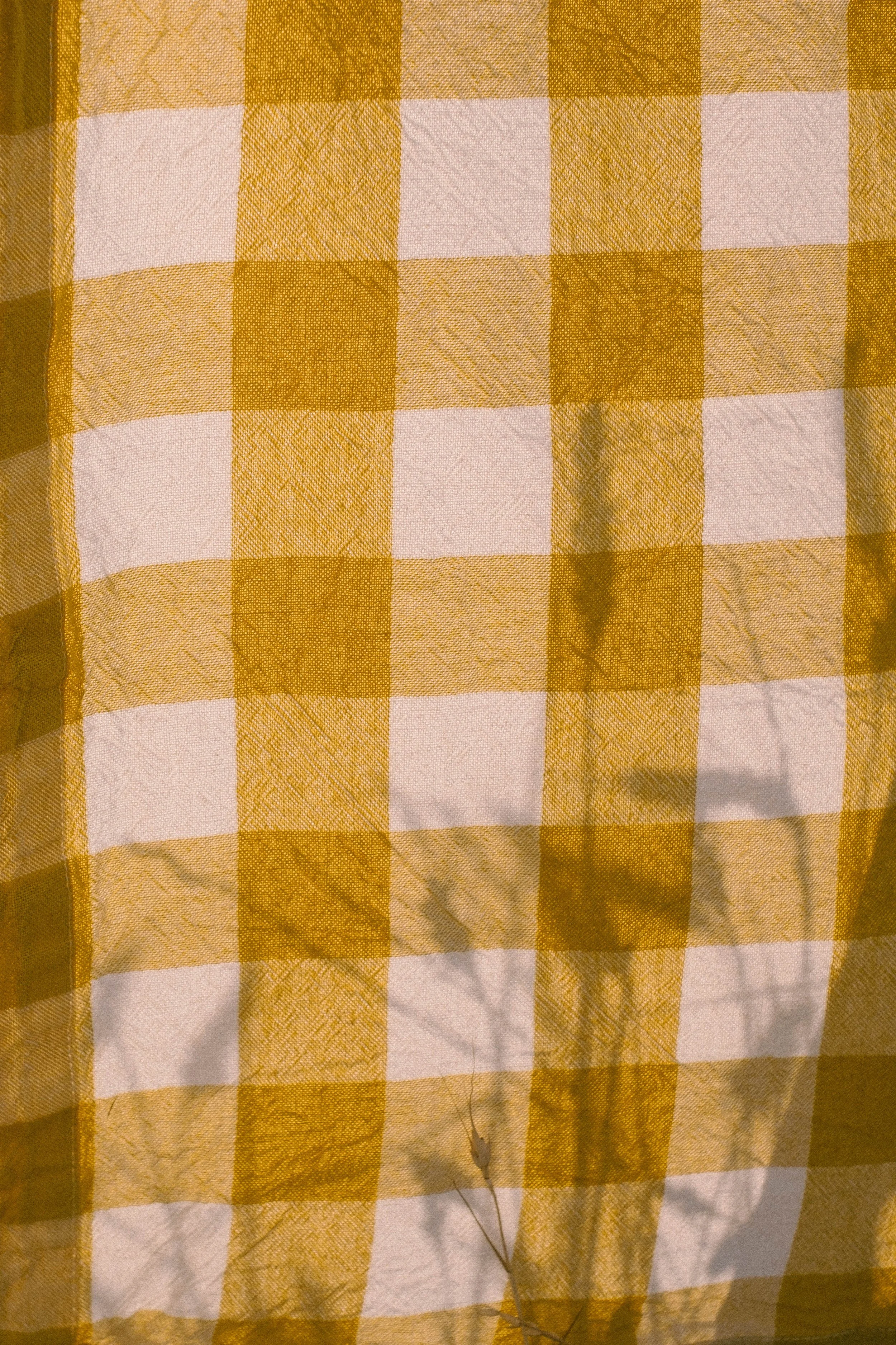 LS_0010.jpg