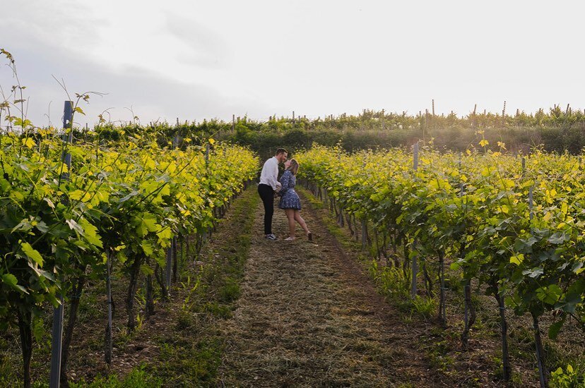 🤍🍇
.
.
.
.
#couplegoals #couplephotoshoot #italyphotographers #vineyard #lovers