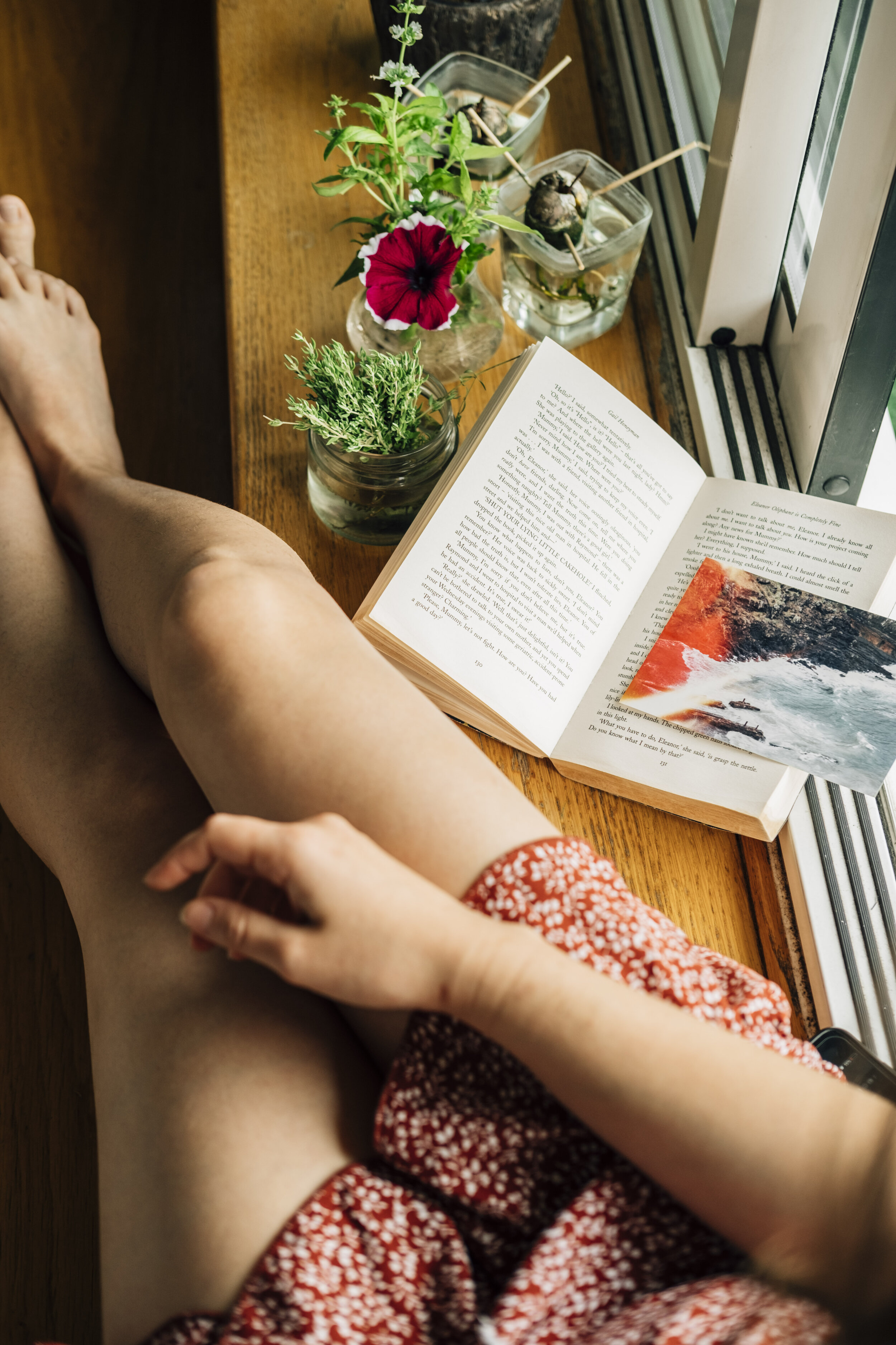 Person sitting with a book and plants on a wooden surface by a window.