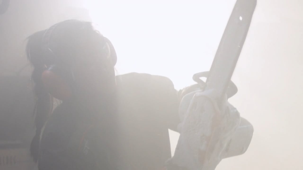Commercial for Stihl - Ice Sculpting - click to play