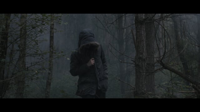 Dark Pines - Will Dean - Zoe Ball Book Club