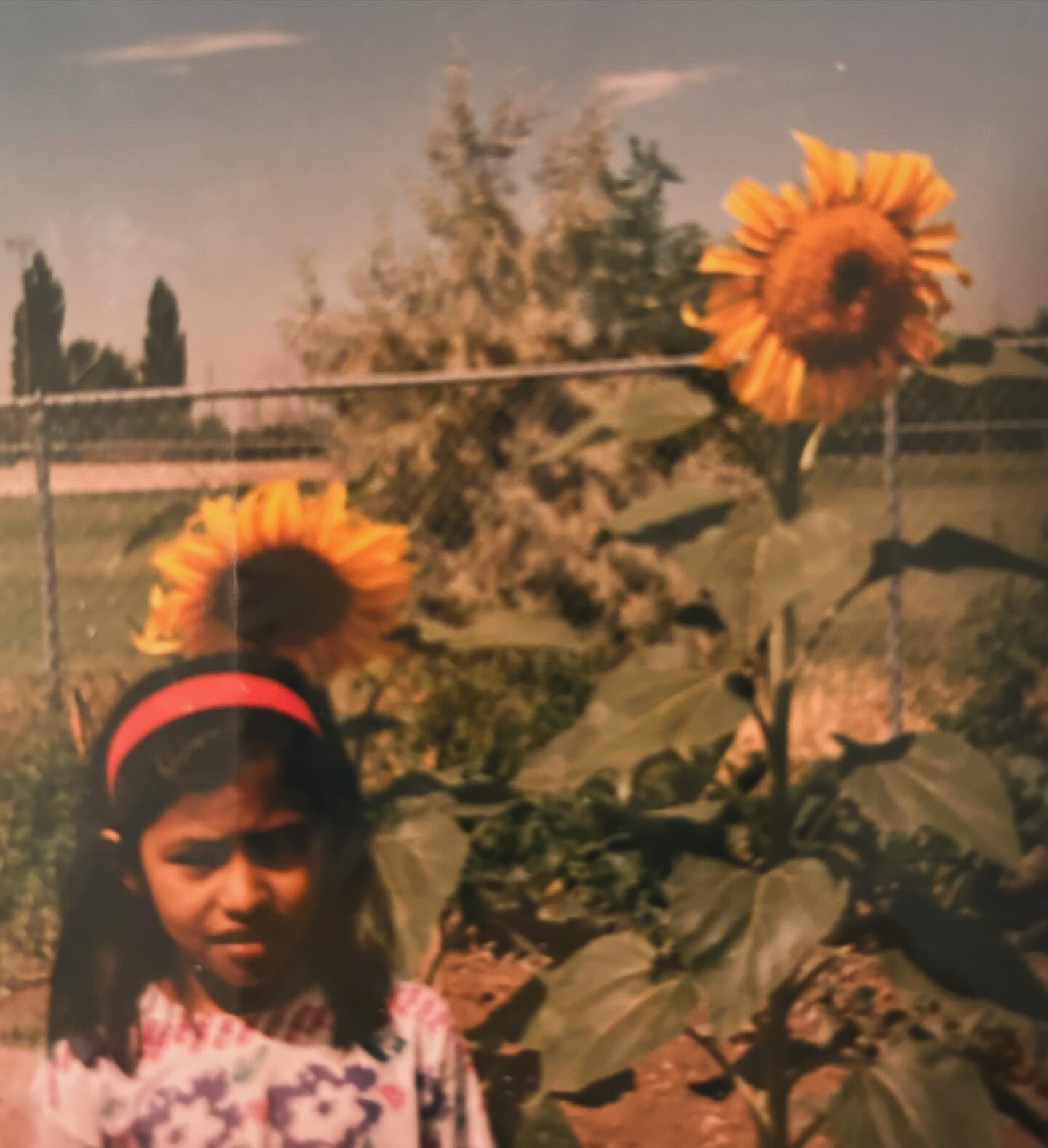 Throwback to my childhood days in Utah, standing next to my favorite flower: the sunflower 🌻. I remember gifting seeds to my mom, and watching her nurture them into towering blooms in our garden. Those sunny faces always brought so much joy to our d