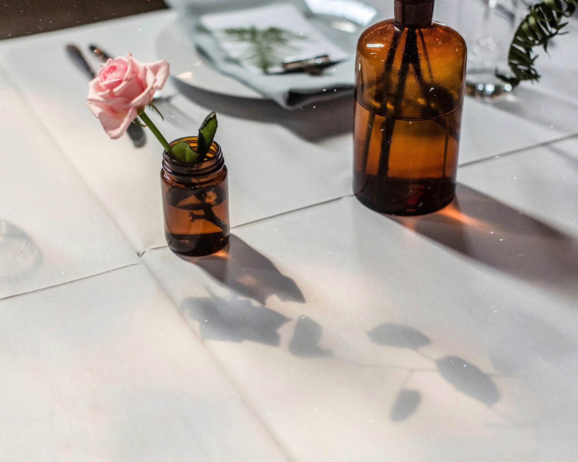 20180822 Shadow.jpg