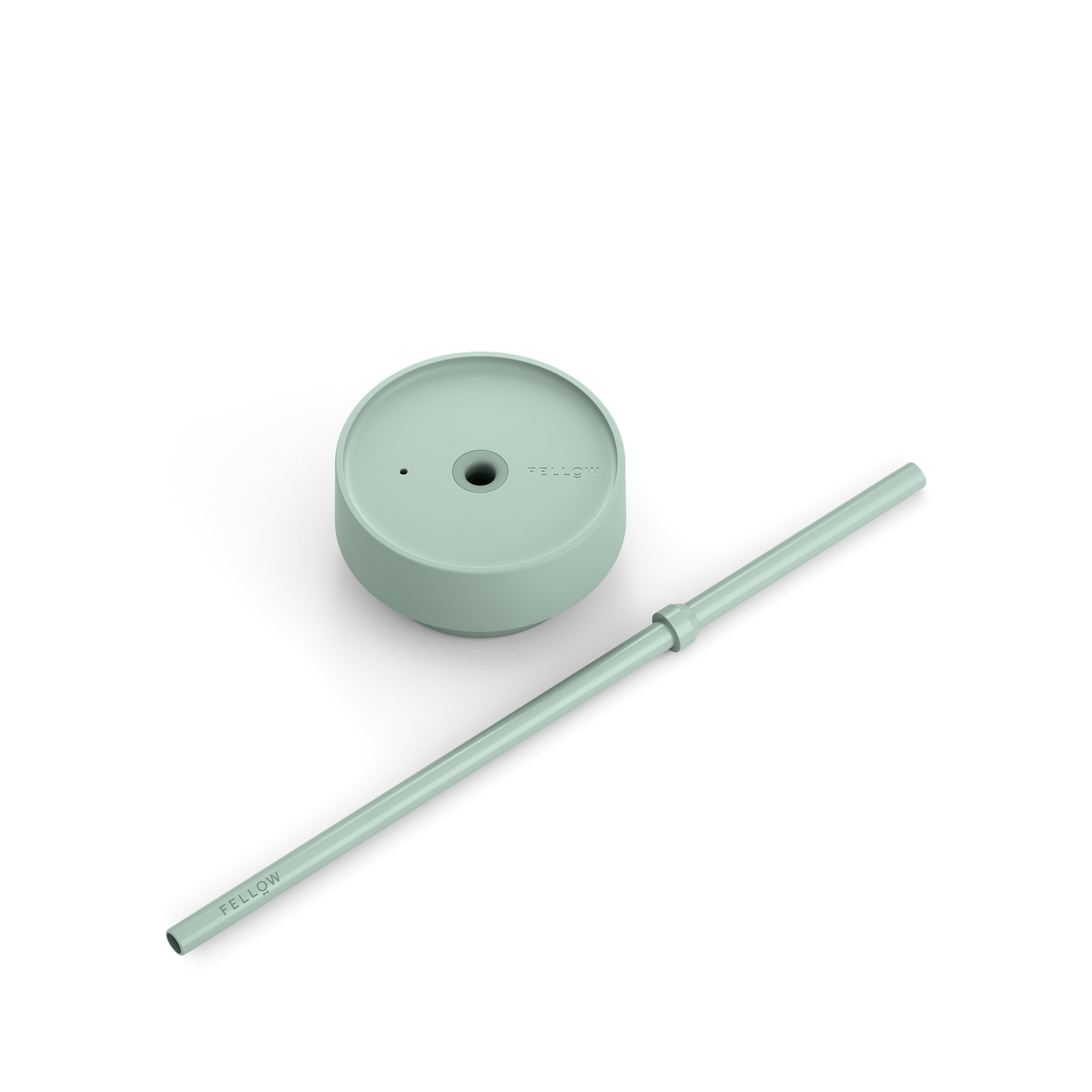 Carter Cold 16oz - Lid+Straw - Mint Chip.jpeg