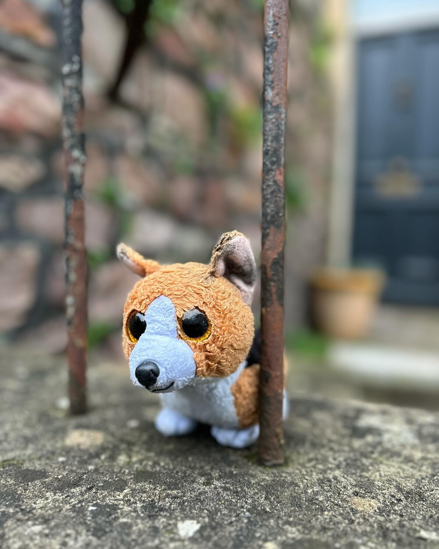 Building a collection of portraits of lost toys - because there is something about them I find really quite emotional. Imagining the owner who lost it - and the forlorn toy keeping an eye out for its owner. 

It&rsquo;s a collection that&rsquo;s slow