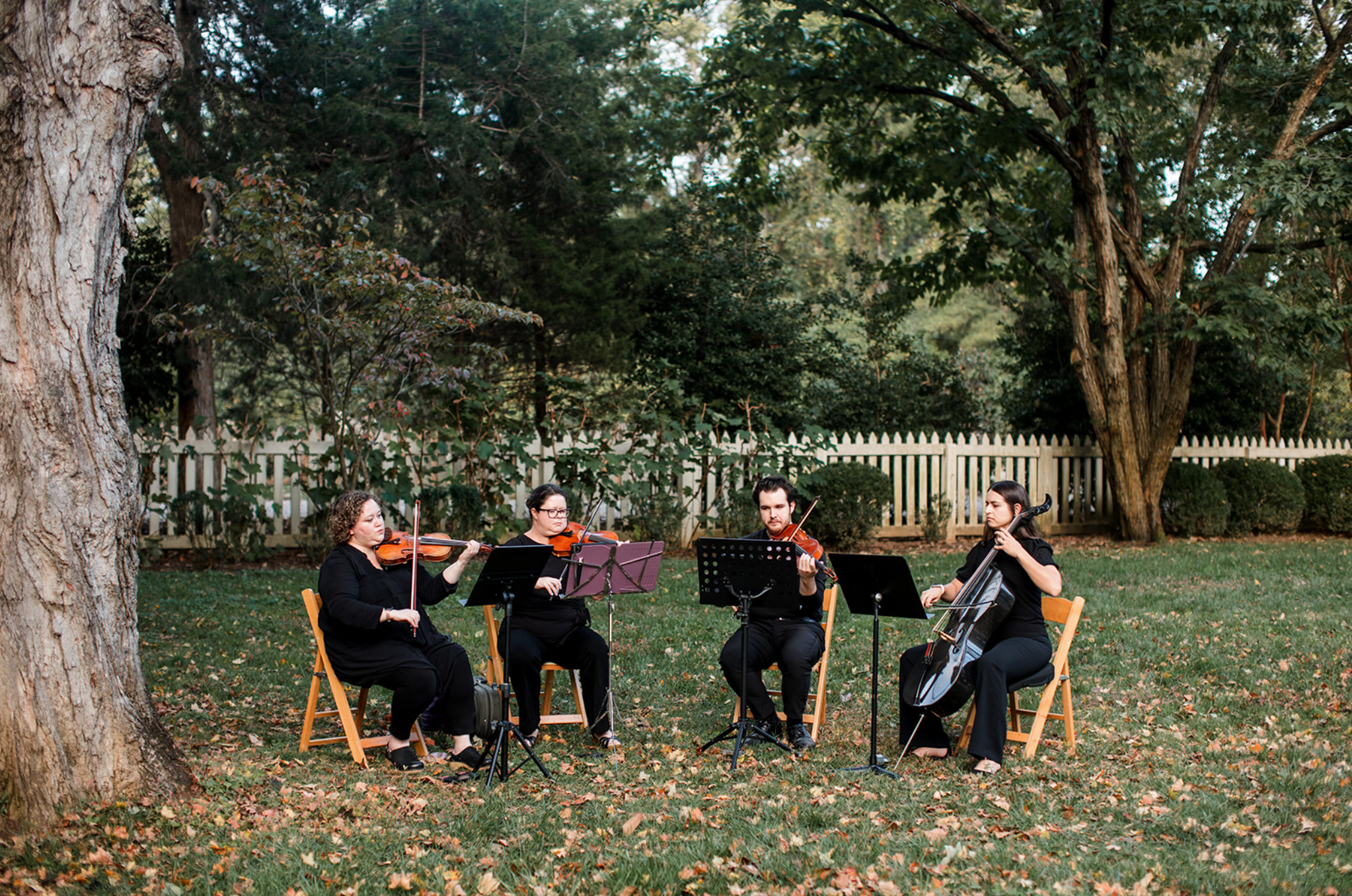 Southern Strings