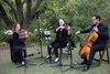 Southern Strings