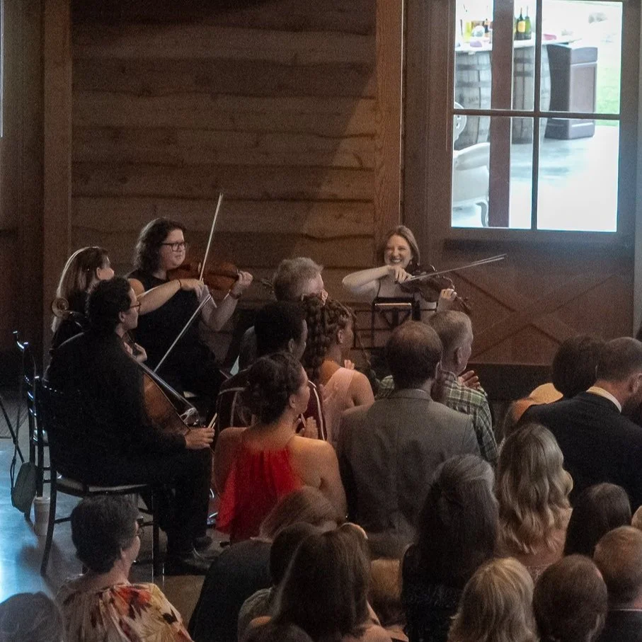 Meet the Musicians — Southern Strings