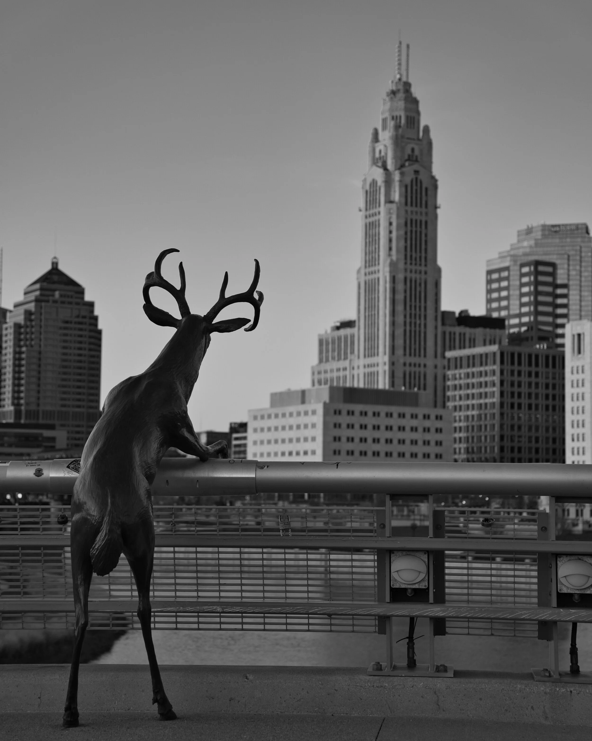 Rich Street Bridge Deer.jpeg