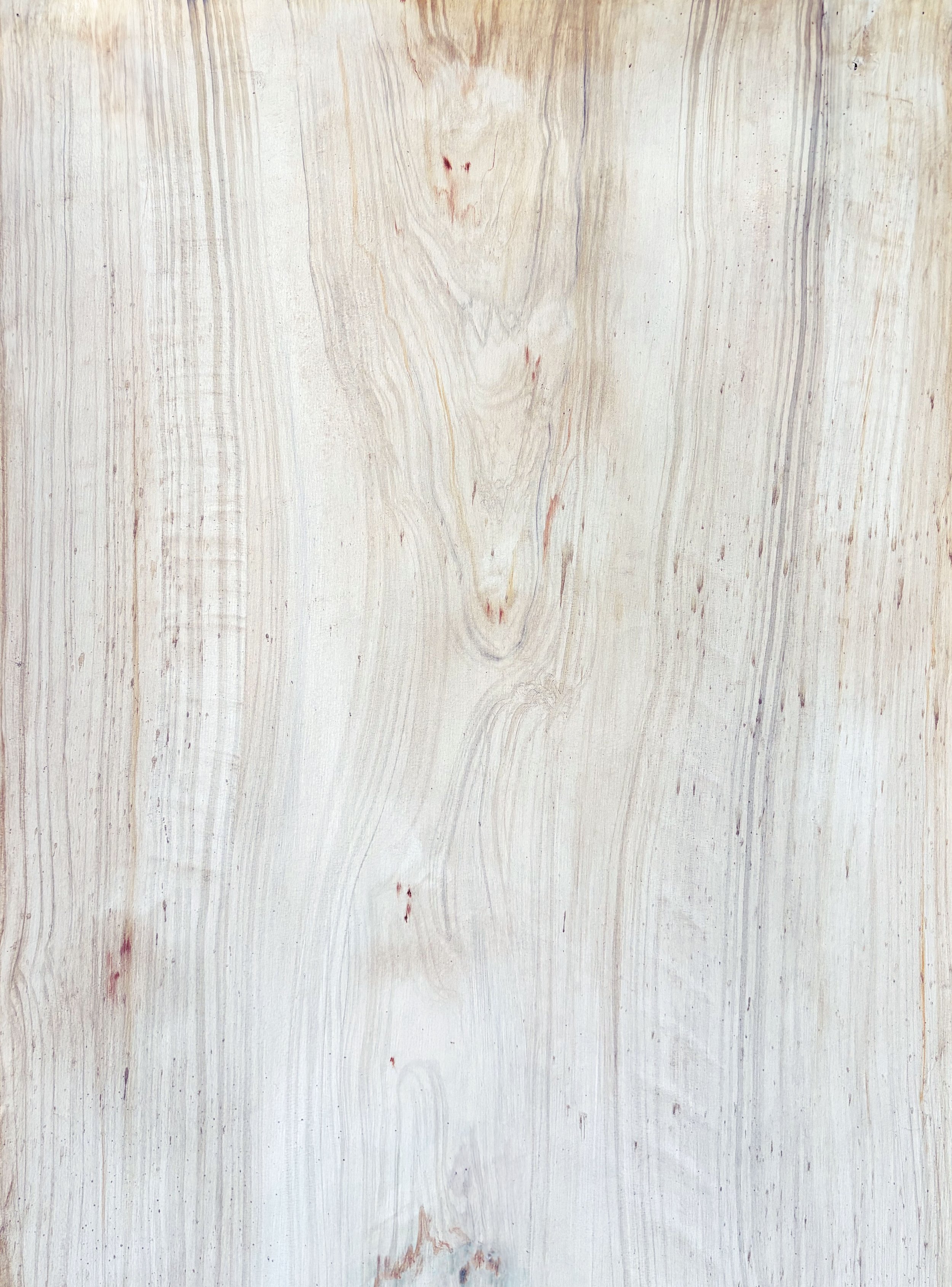 Poplar