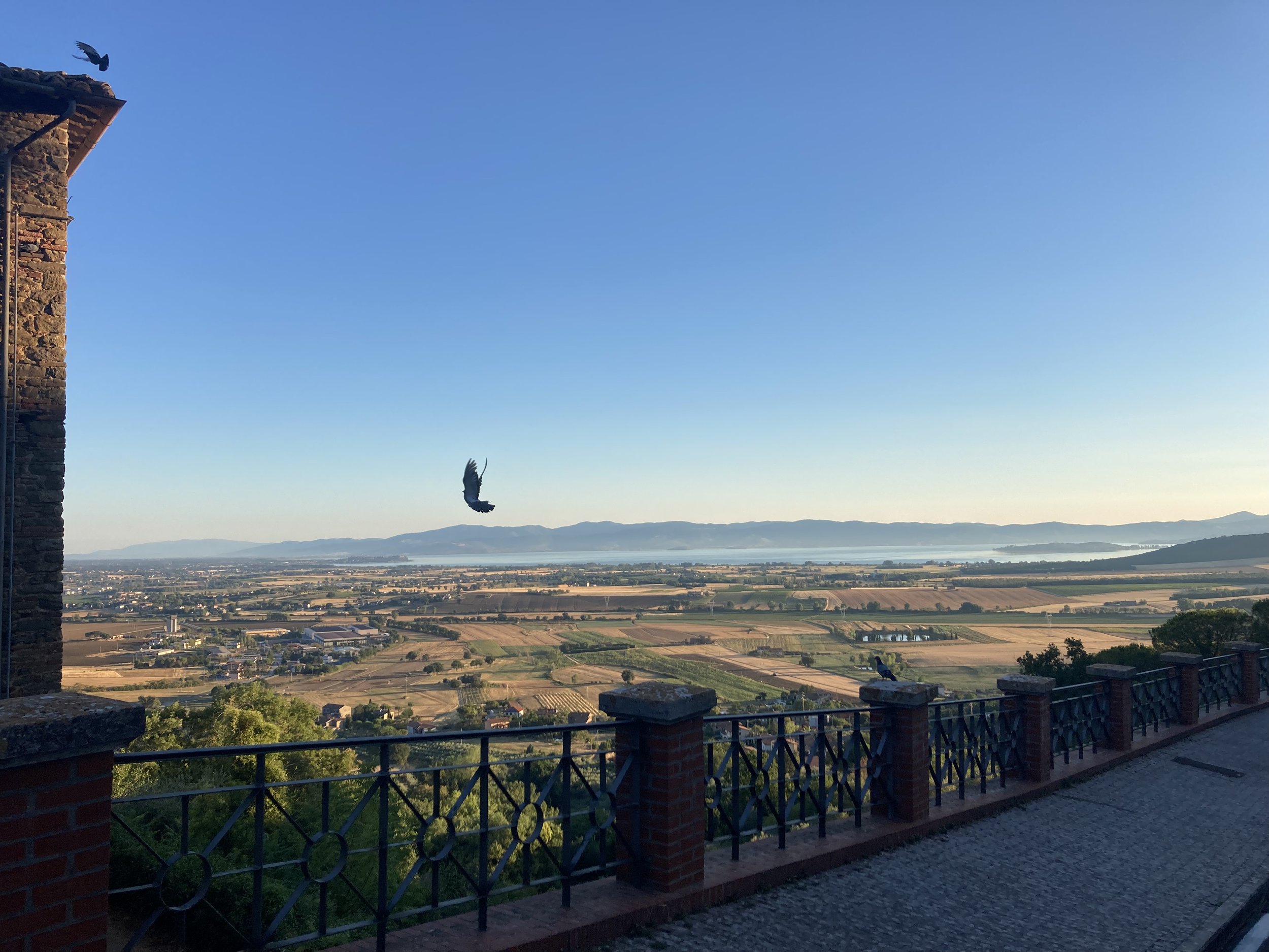 IMG_7608.jpeg