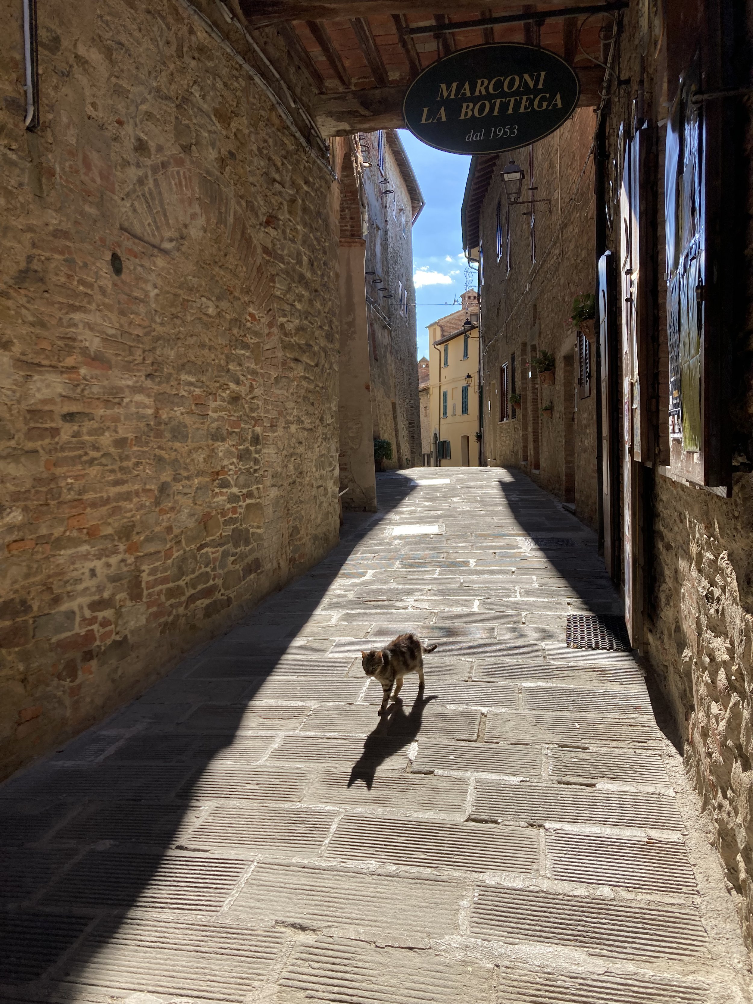 IMG_7575.jpeg