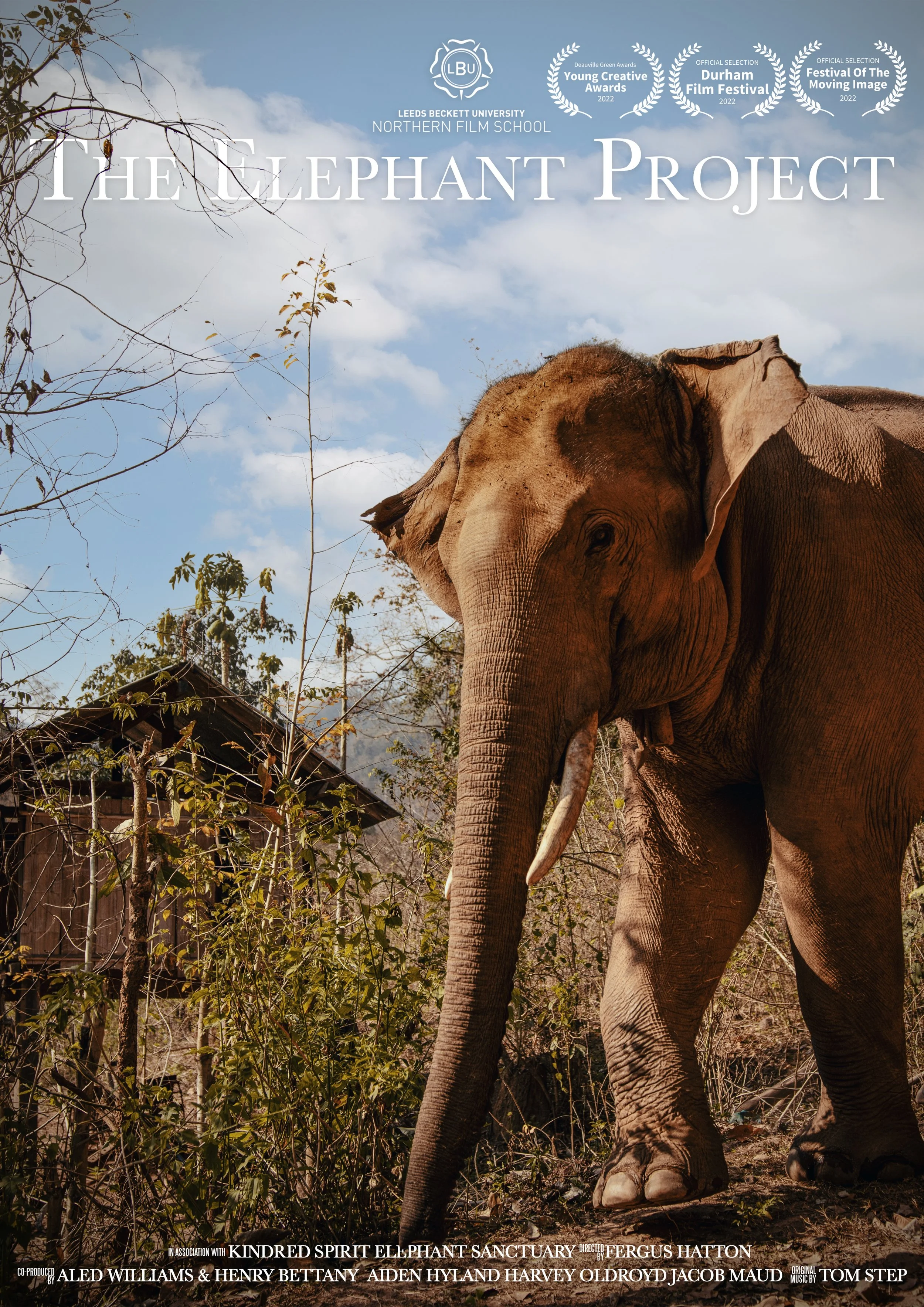 The Elephant Project
