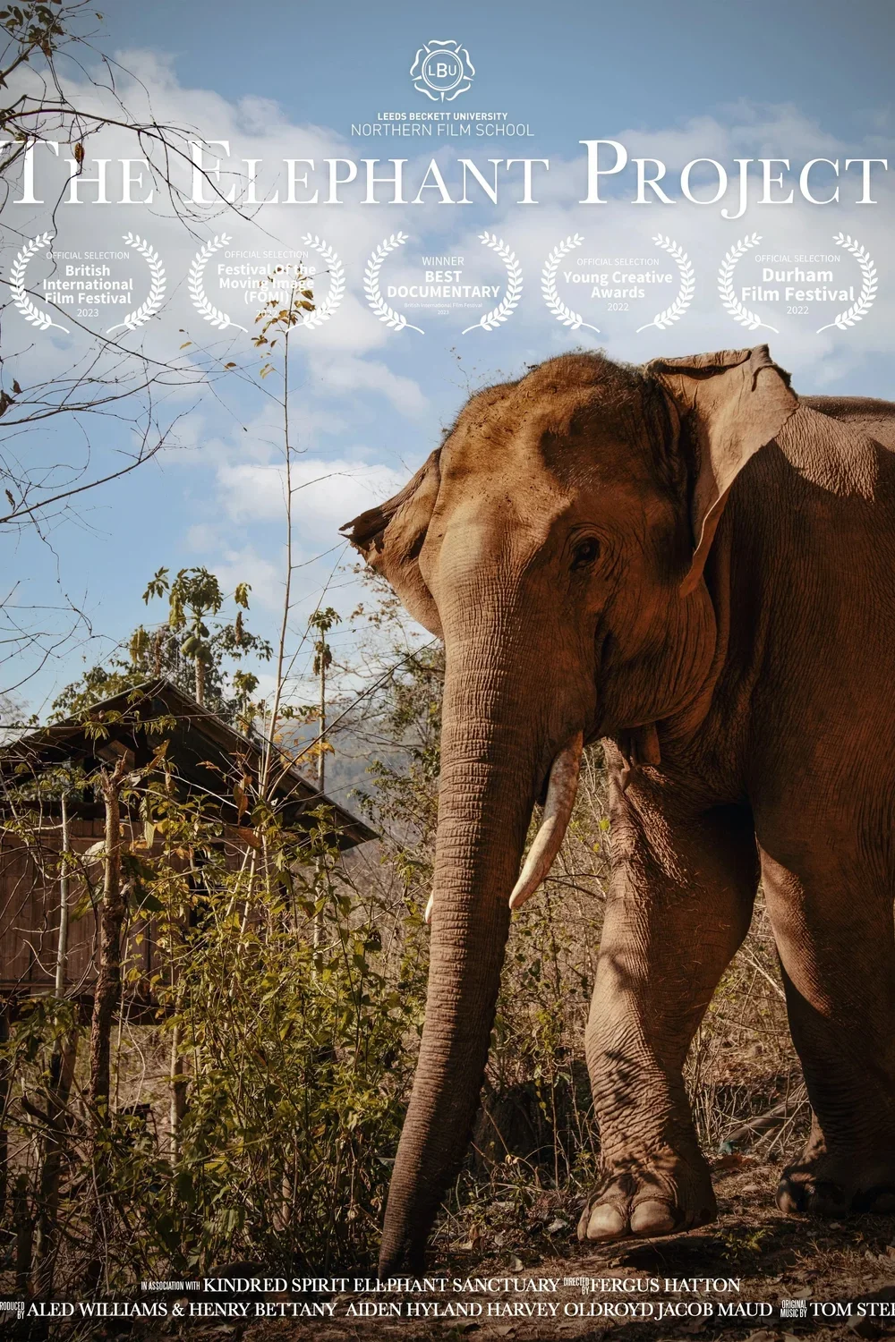 The+Elephant+Project+-+Poster+2023.webp