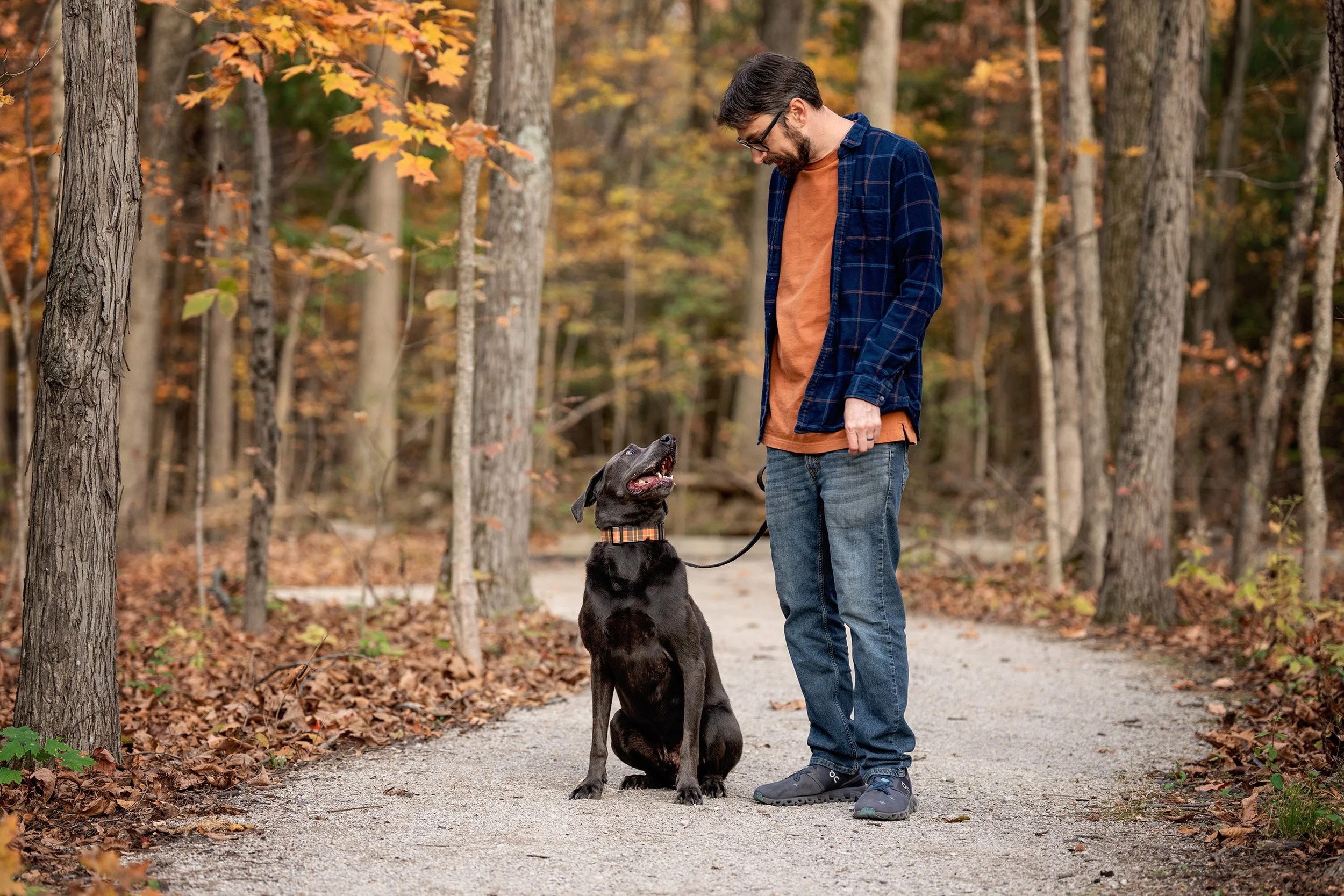 DSC02217-Edit web.jpg