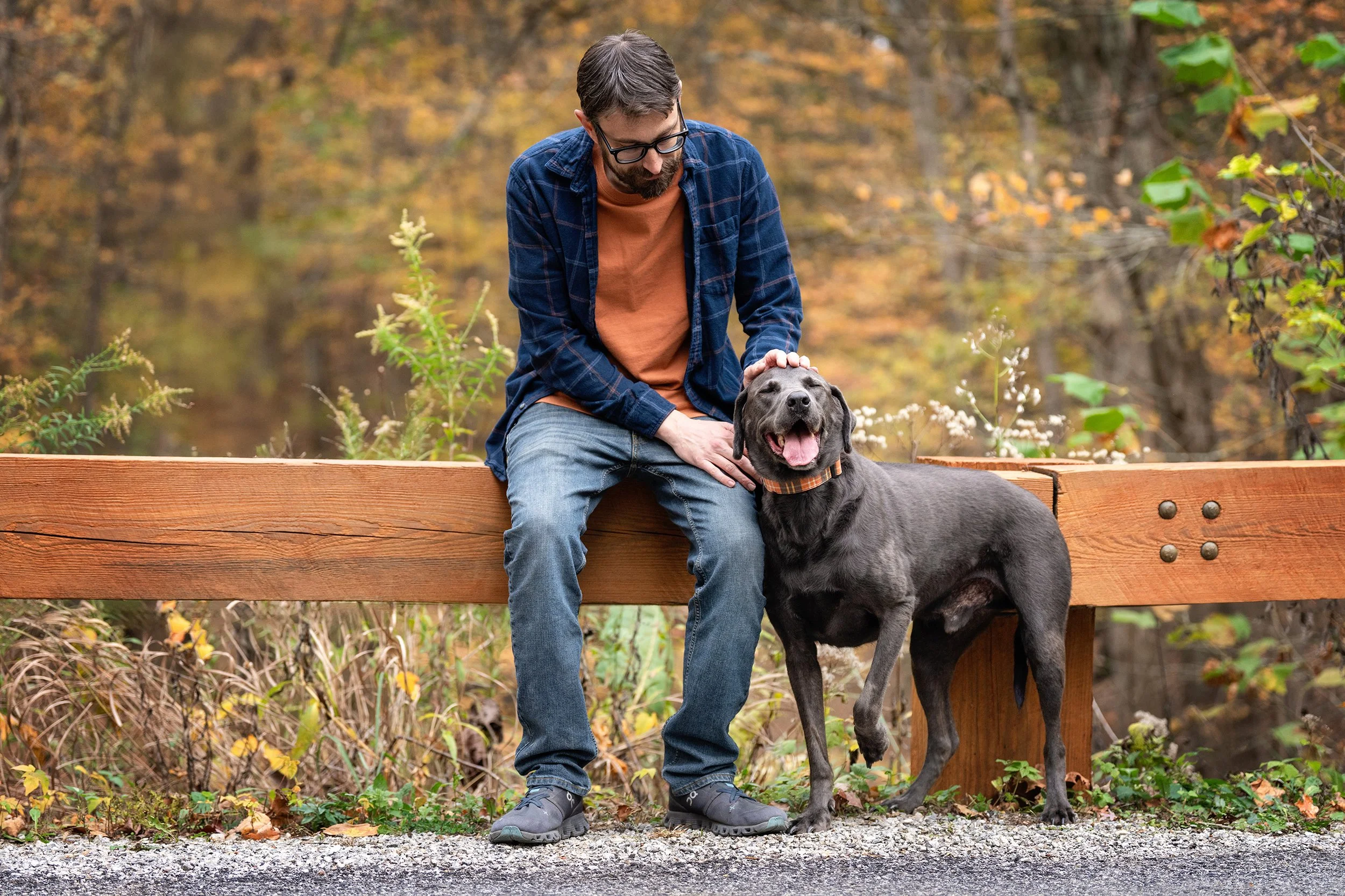 DSC02175-Edit web.jpg