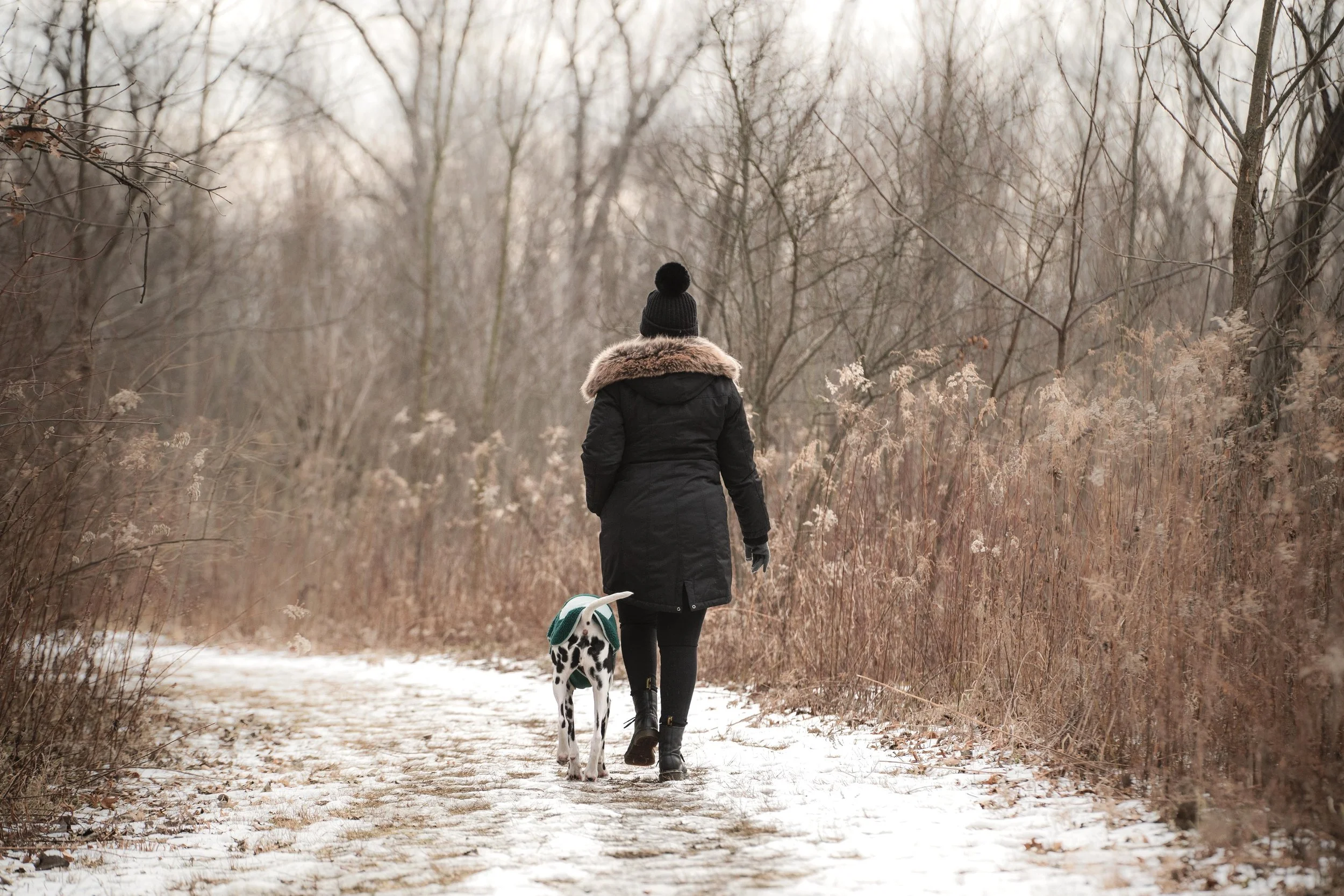 The Quiet Season: Trails, Tails and Places That Make Us Keep Coming Back For More