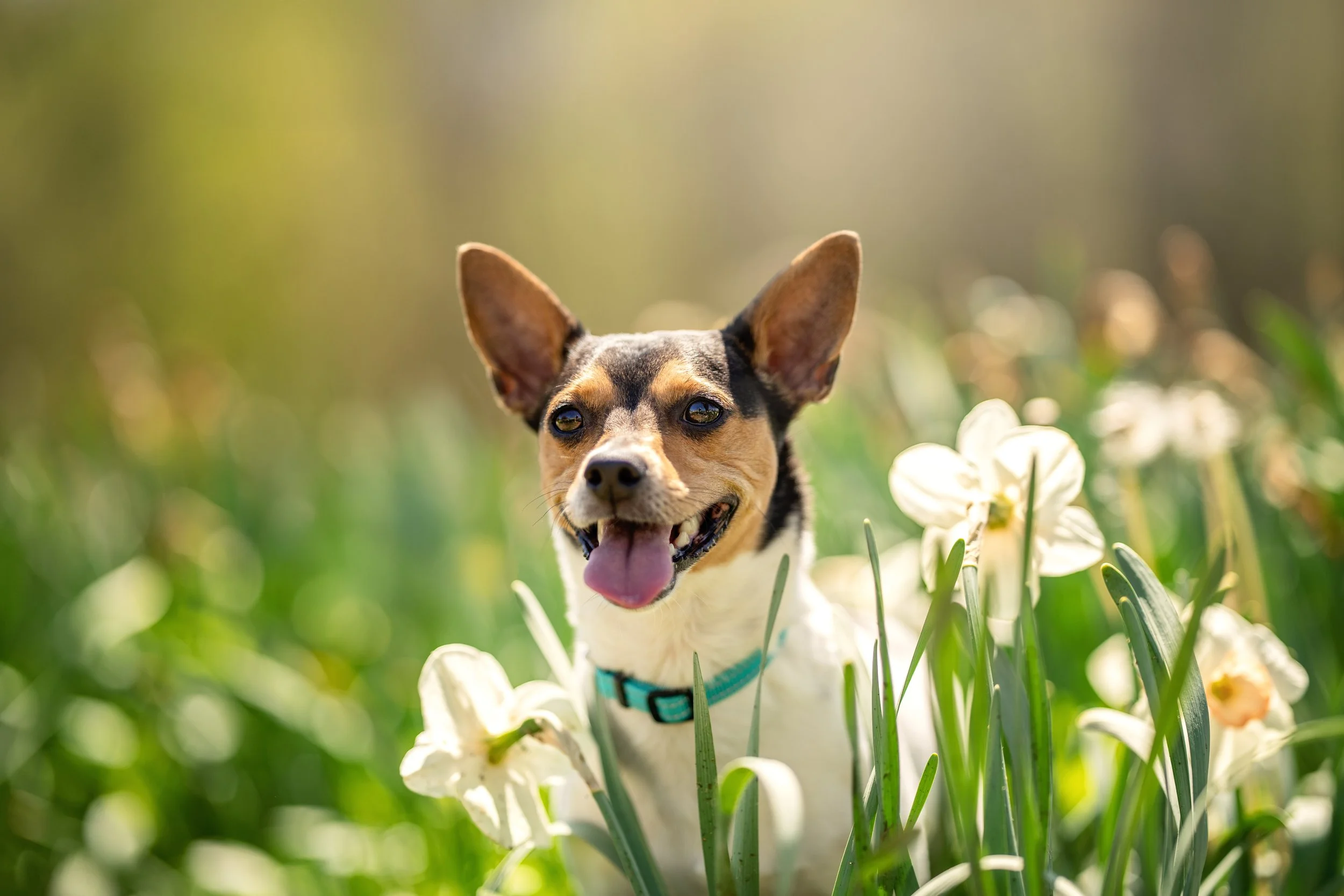 DSC06054-Edit copy.jpg