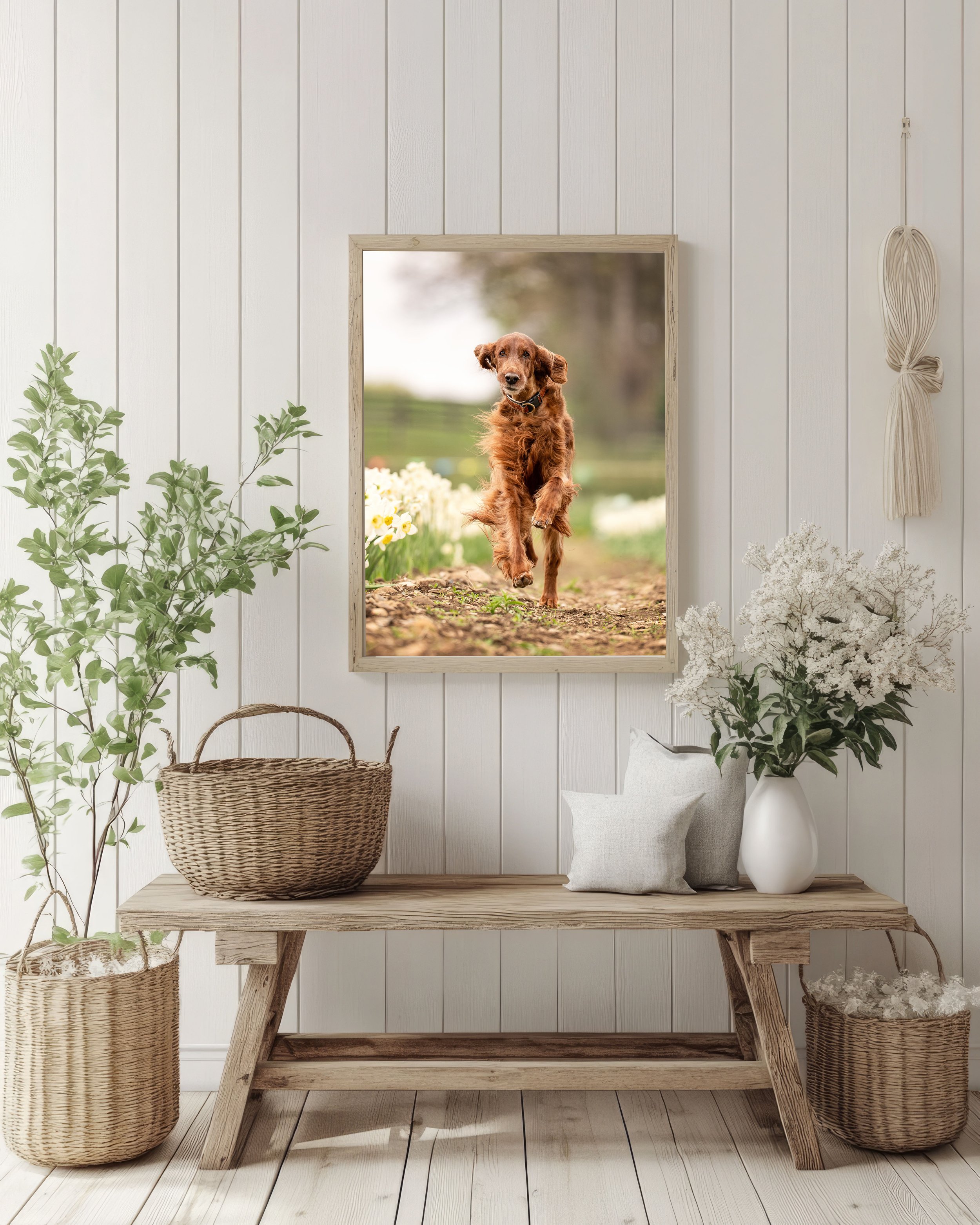 AdobeStock_971505504 copy.jpg