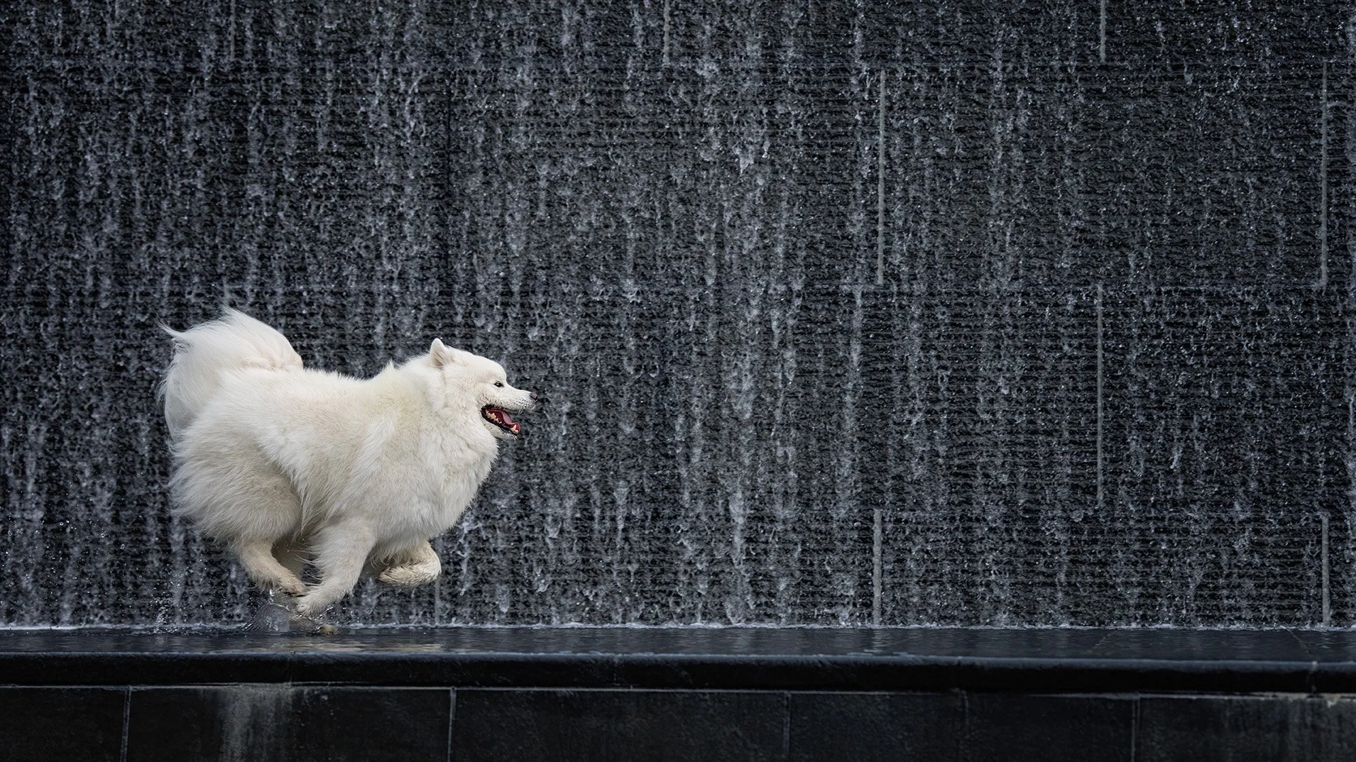 DSC01860-Edit web2.jpg