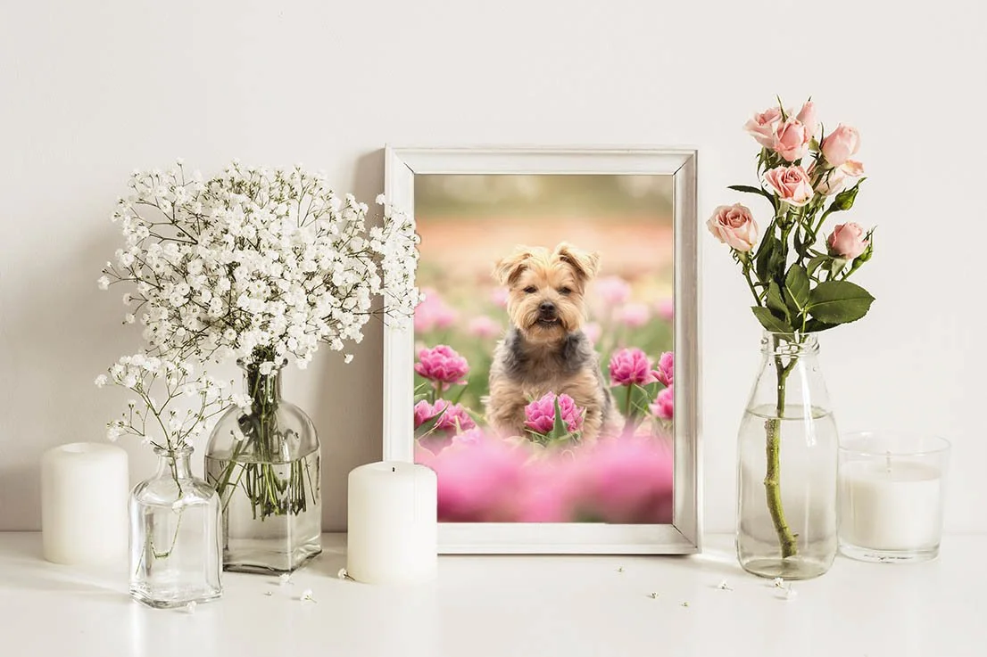 AdobeStock_264330306 copy 2.jpg