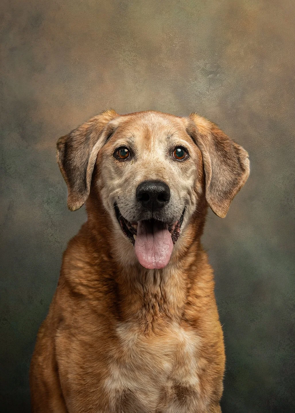 DSC09726-Edit web.jpg