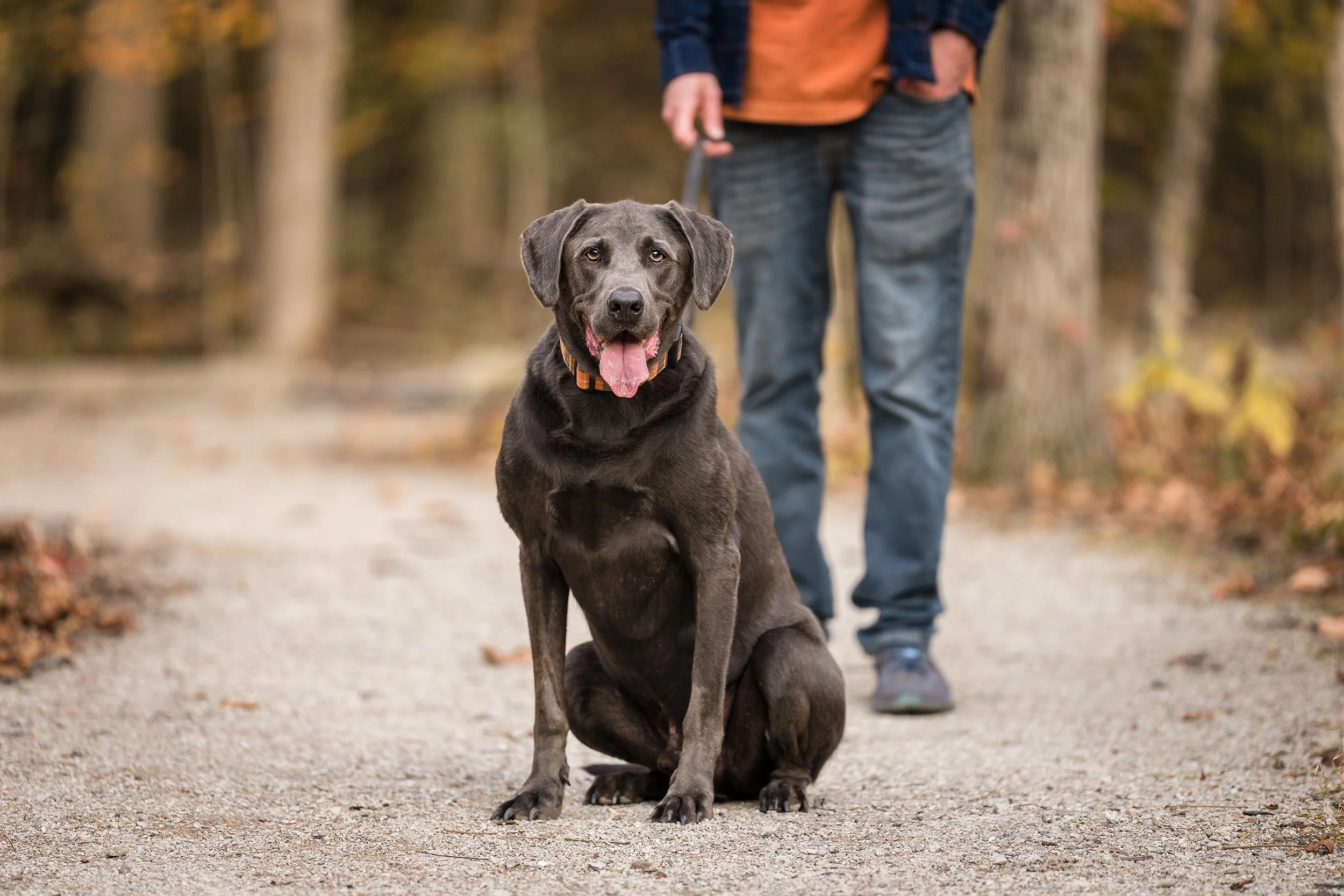 DSC02235-Edit web.jpg