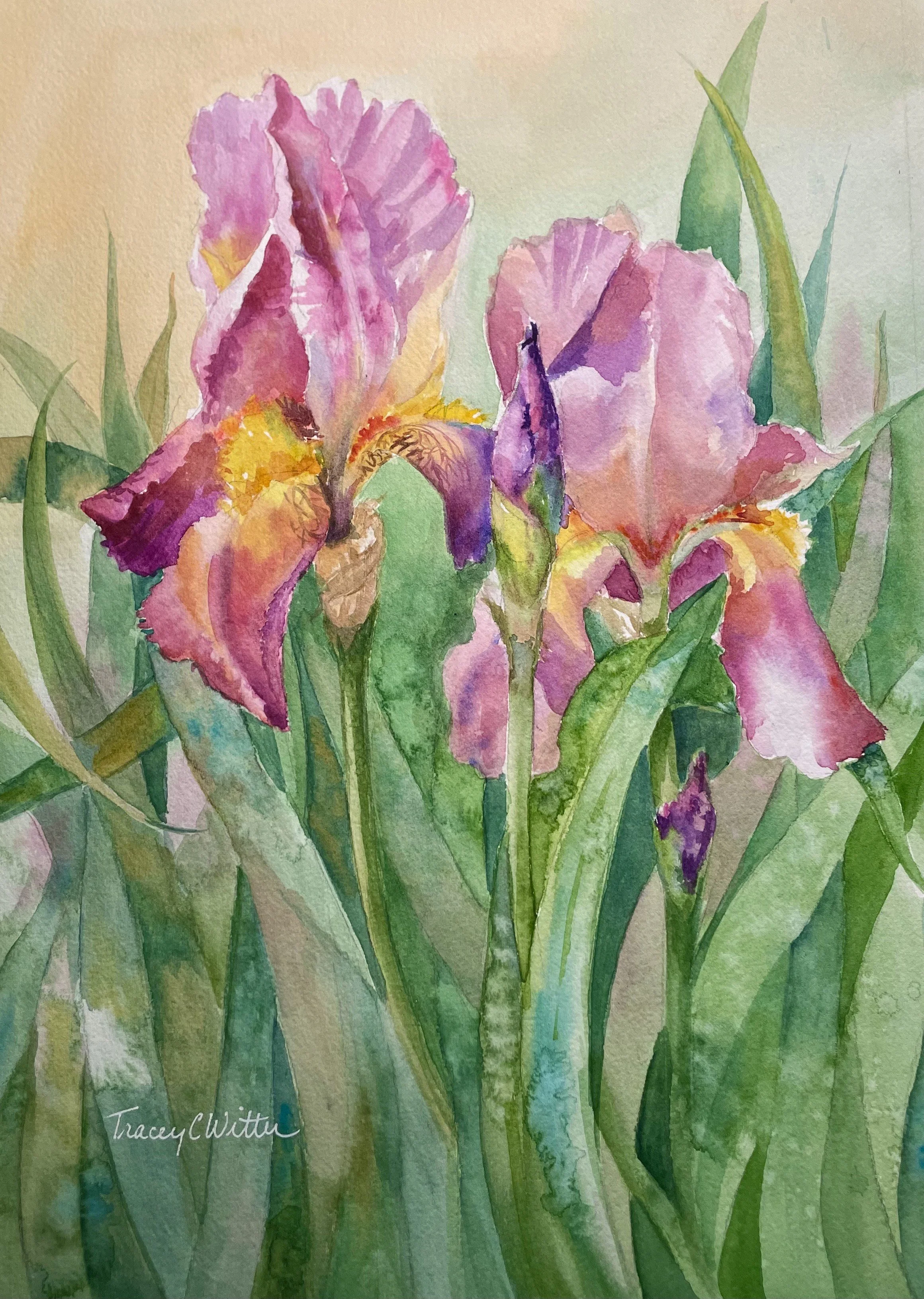 Watercolor Classes with Tracey Witter