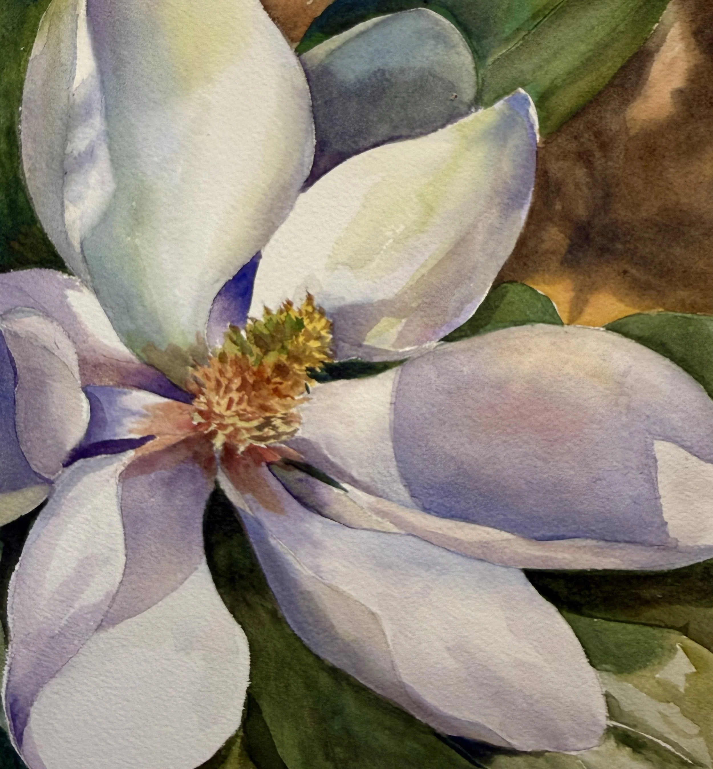 Watercolor Classes with   Tracey Witter
