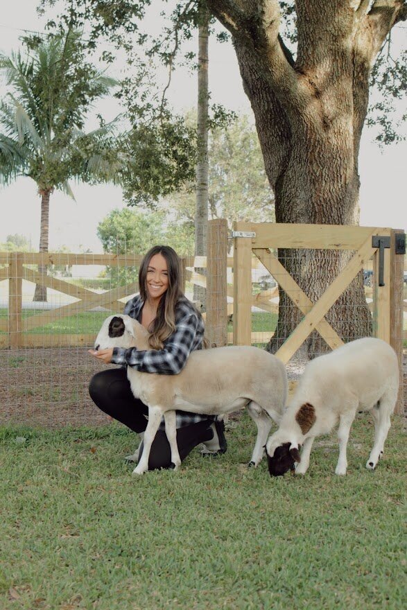MEET OUR SHEEP, BO &amp; LUKE!