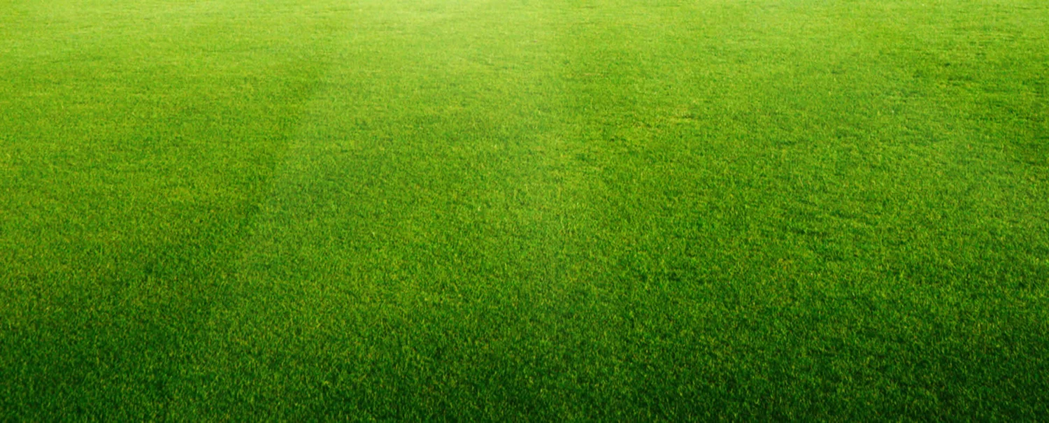 General 3 — Central Kentucky Mulch & Stone