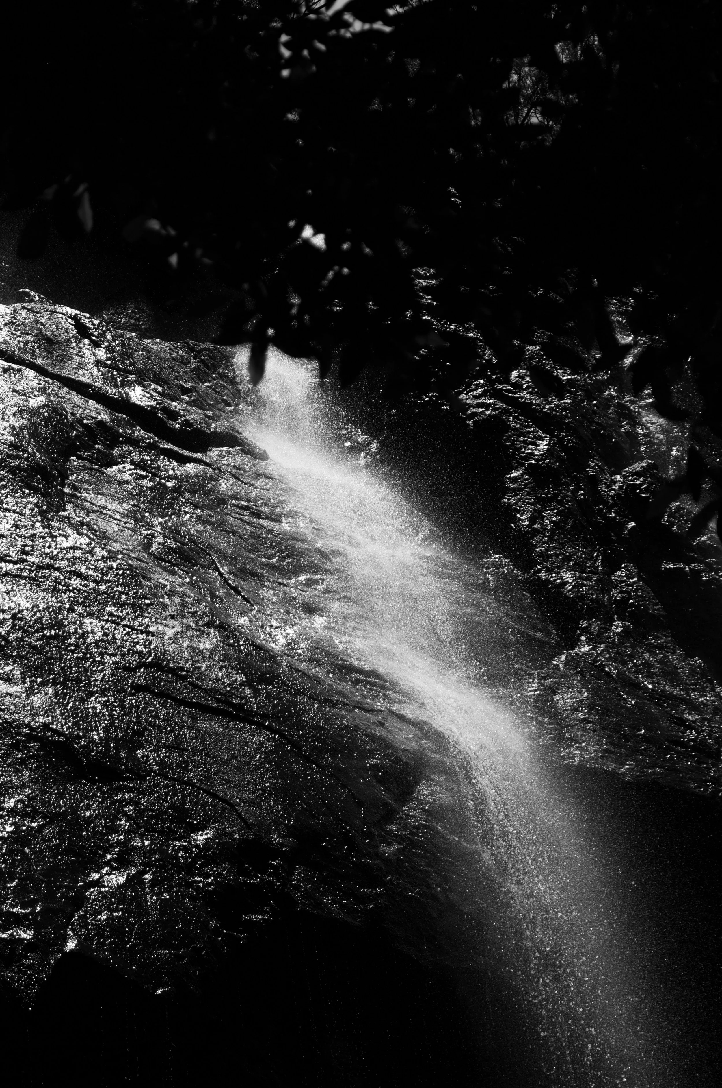 _IMG5081_VSCO.jpeg