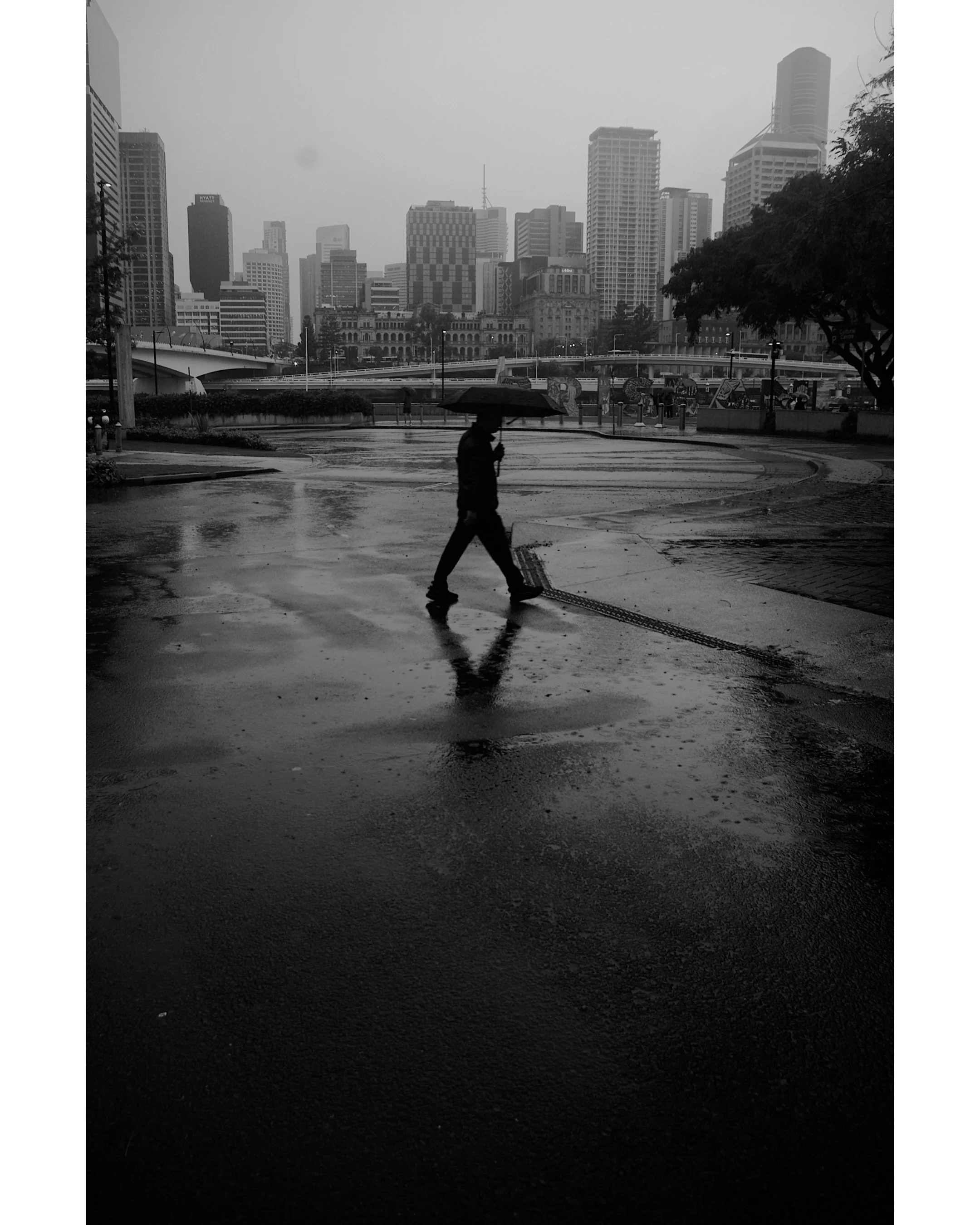 umbrolly

#pentax #rain #brisbane #blackandwhite #photography