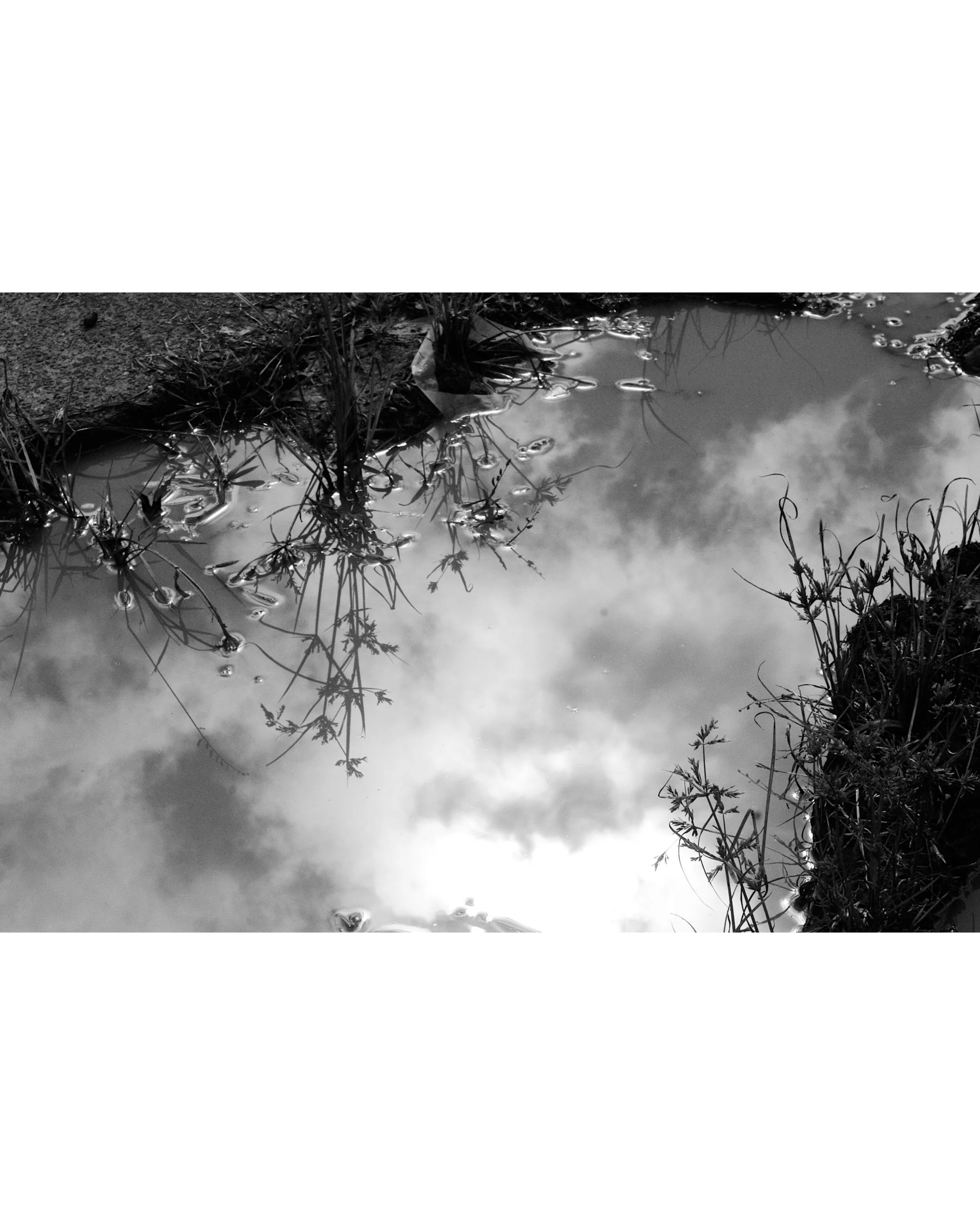 lake ephemeral

two toos&rsquo;

kukunna wurraweena by mandy quadrio

muddy reflections

camping