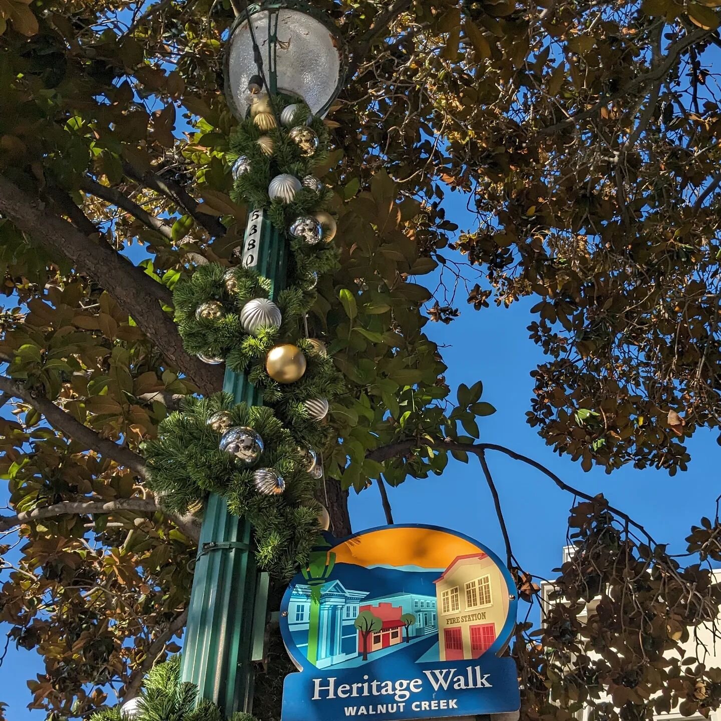 It is beginning to look like the holiday season has arrived in downtown Walnut Creek 🌟

Holiday festivities are beginning all around town - including a Holiday Parade of Lights &amp; Tree Lighting in @broadway_plaza tomorrow evening (11/30)  from 5:
